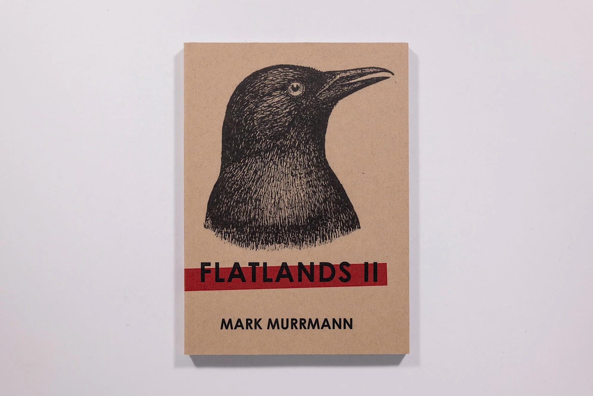 Flatlands II Zine Mark Murrmann