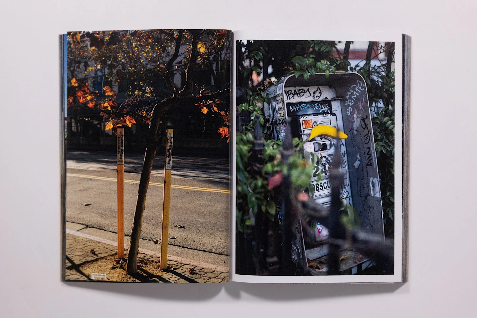Flatlands II Zine Mark Murrmann - Image 3
