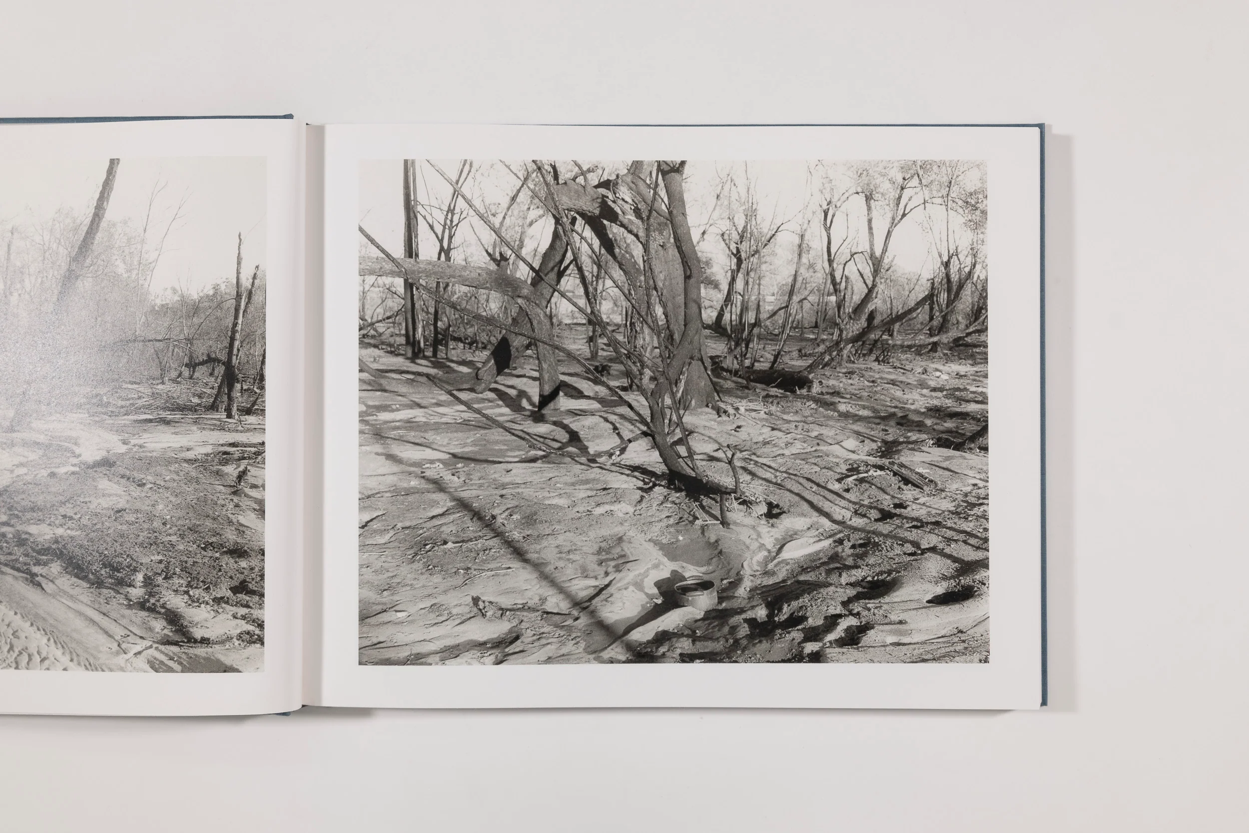 Mark Ruwedel, Rivers Run Through It - Image 6