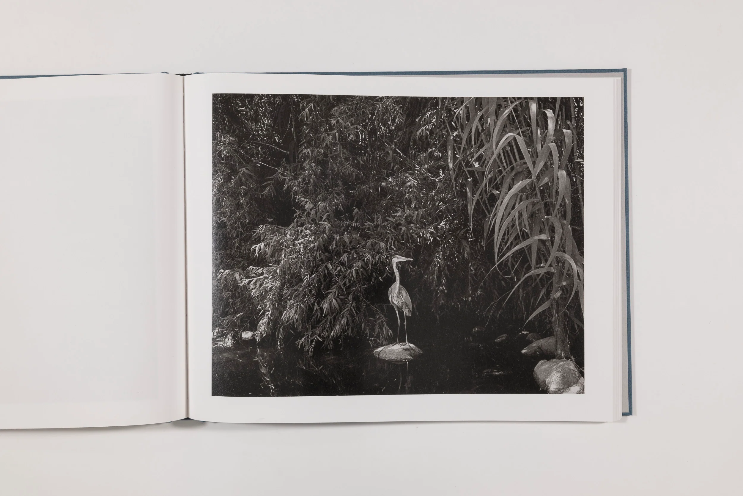 Mark Ruwedel, Rivers Run Through It - Image 8