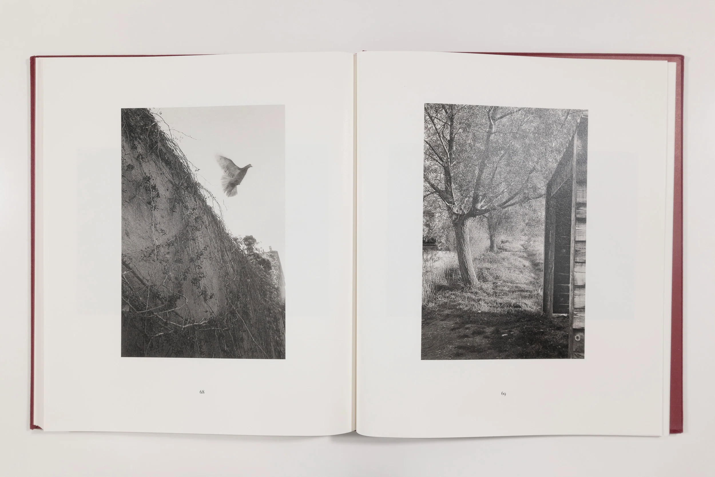 Mark Steinmetz, Paris 1987 (signed) - Image 10