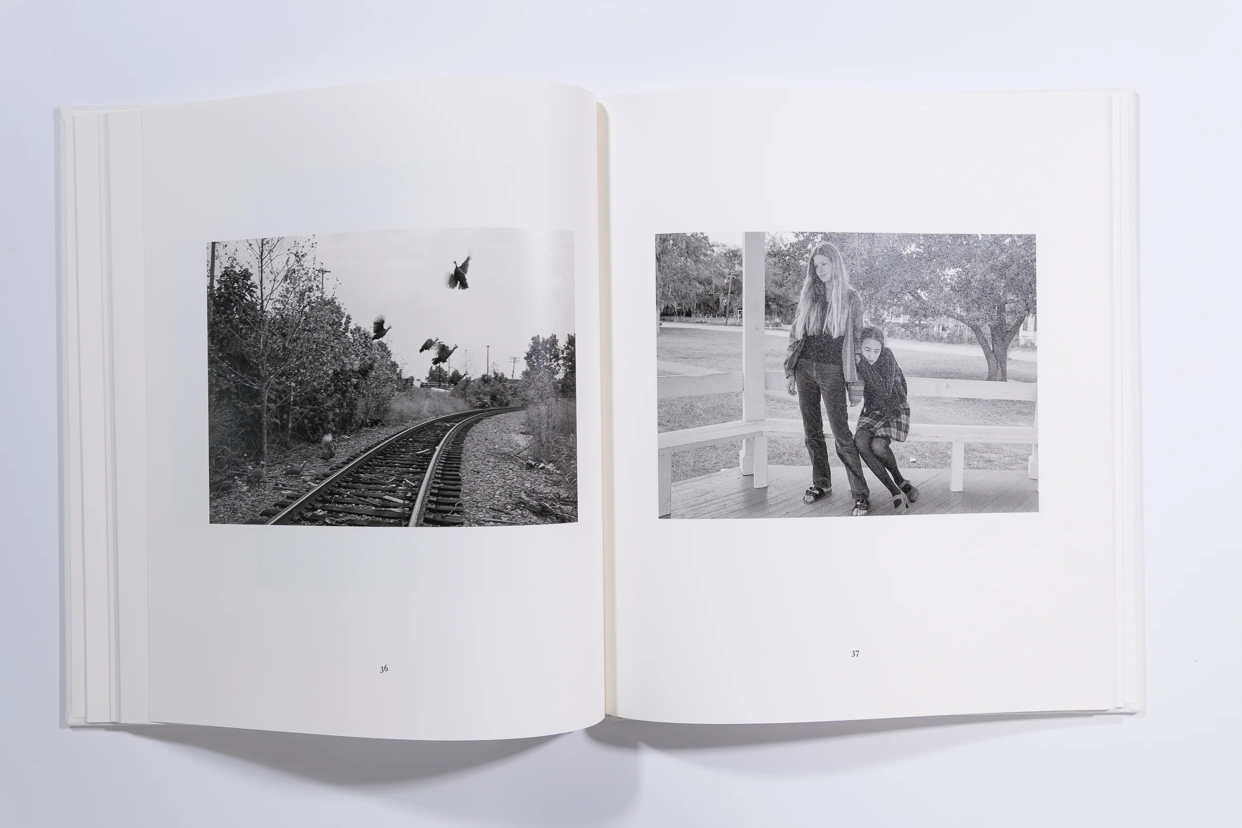Mark Steinmetz, South East - Image 8