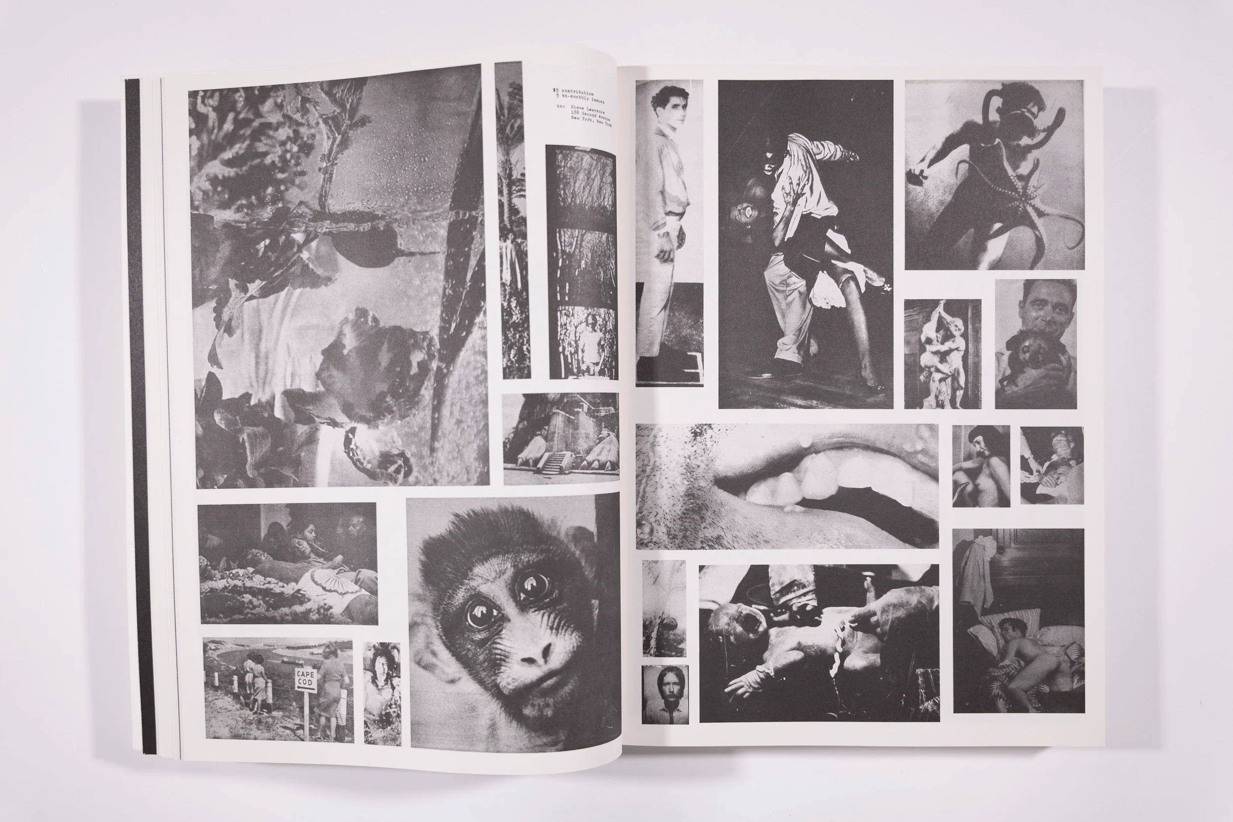 Newspaper - Image 8