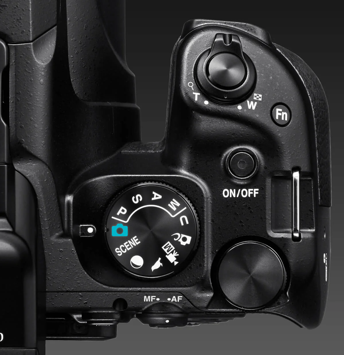 Nikon P1100 Coolpix - Image 9