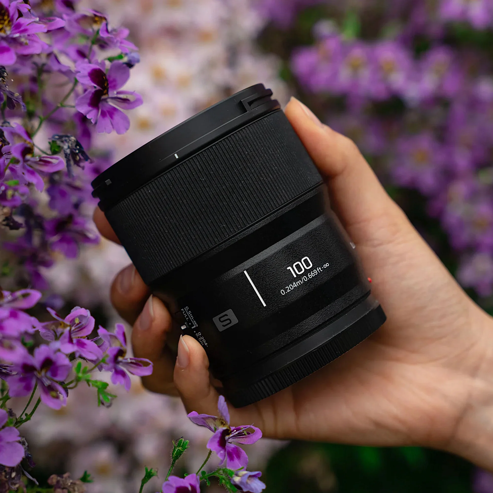 Panasonic S 100mm f2.8 Macro - Image 6
