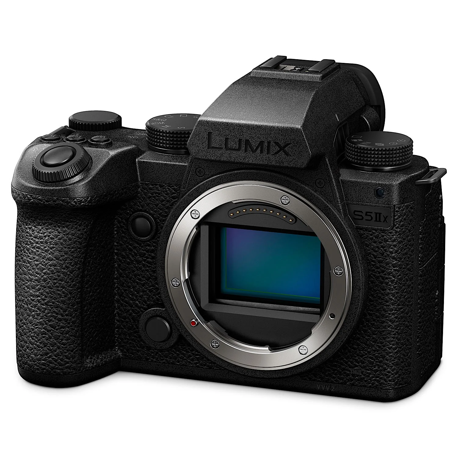 Panasonic S5 IIX - Image 2