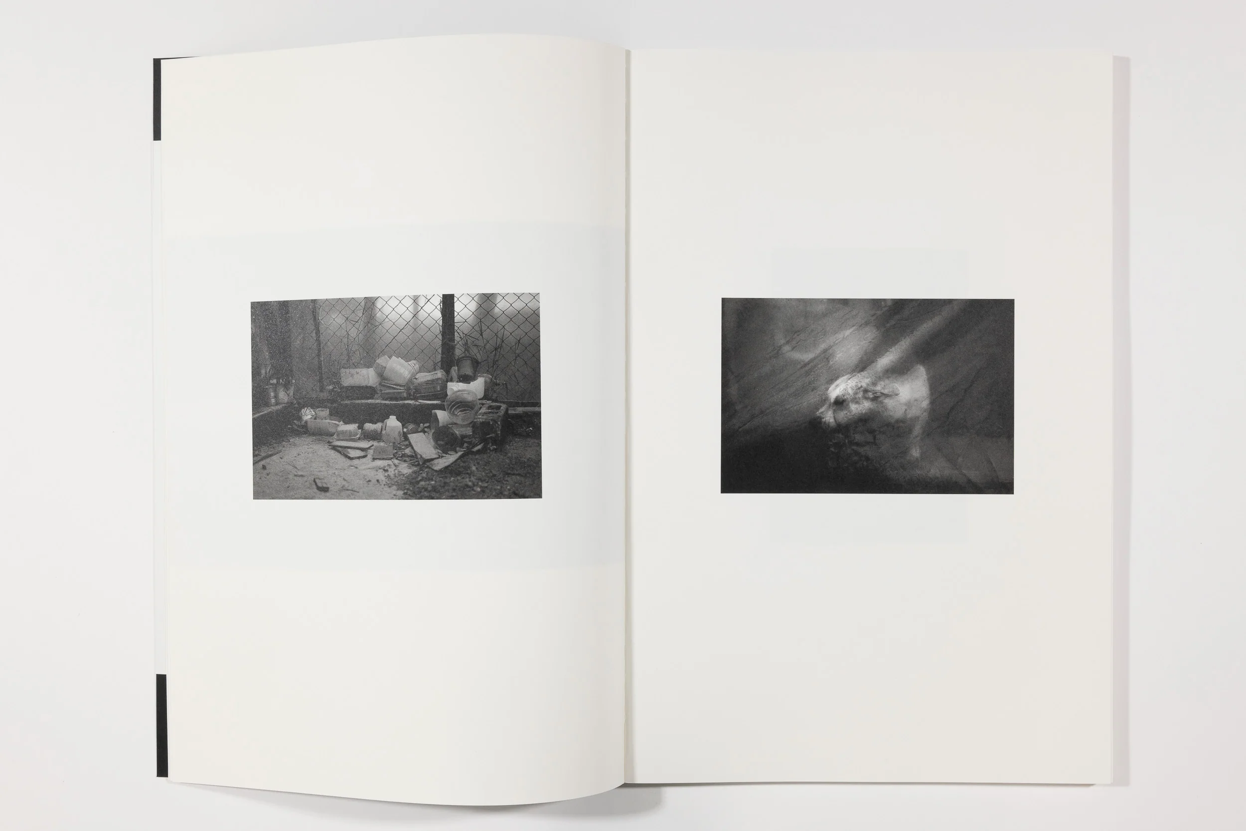 Paraiso, Emiliano Zuniga Hernandez - Image 3