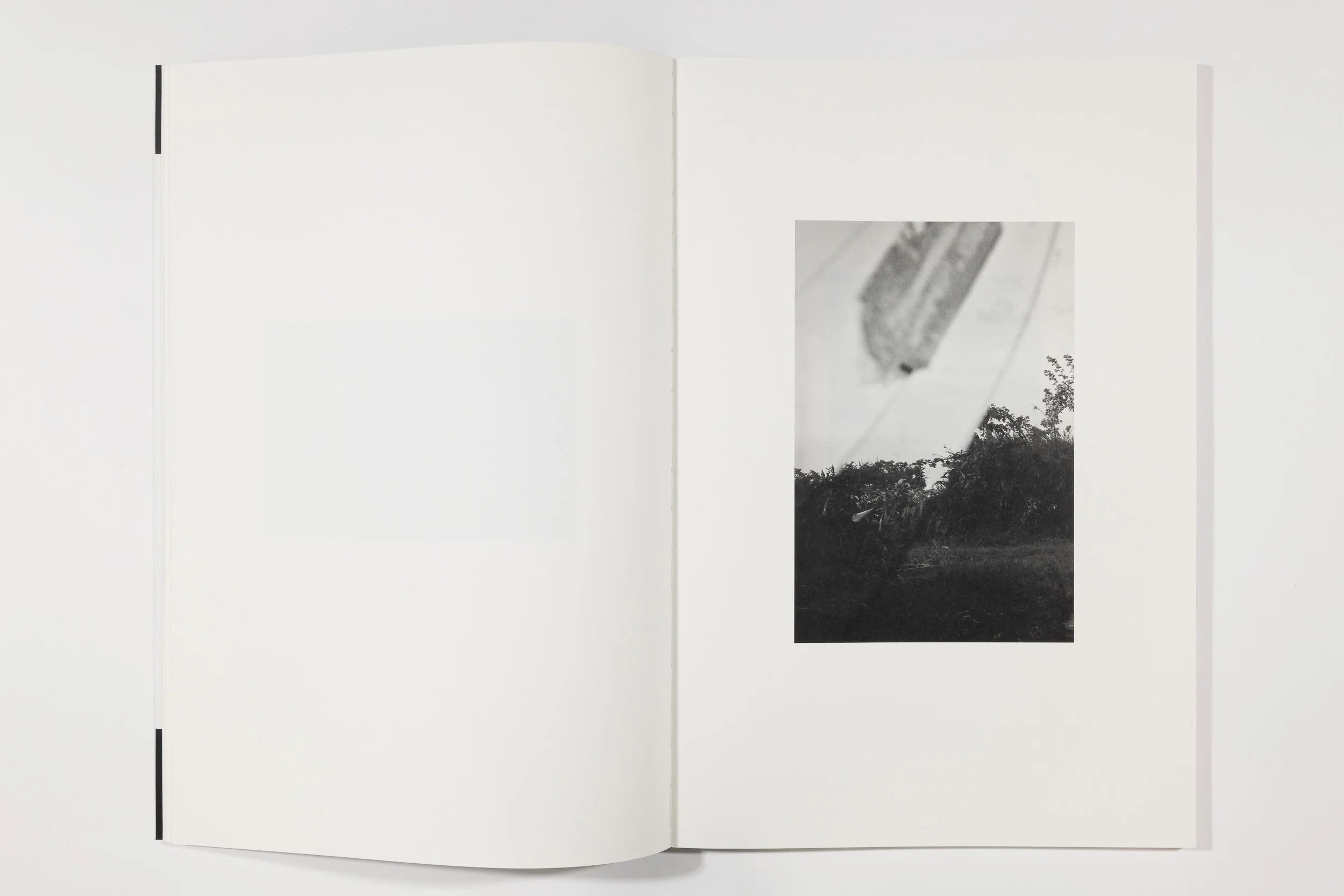 Paraiso, Emiliano Zuniga Hernandez - Image 4