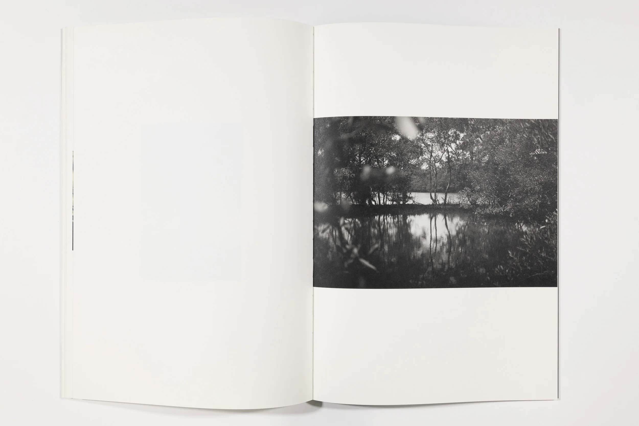 Paraiso, Emiliano Zuniga Hernandez - Image 9
