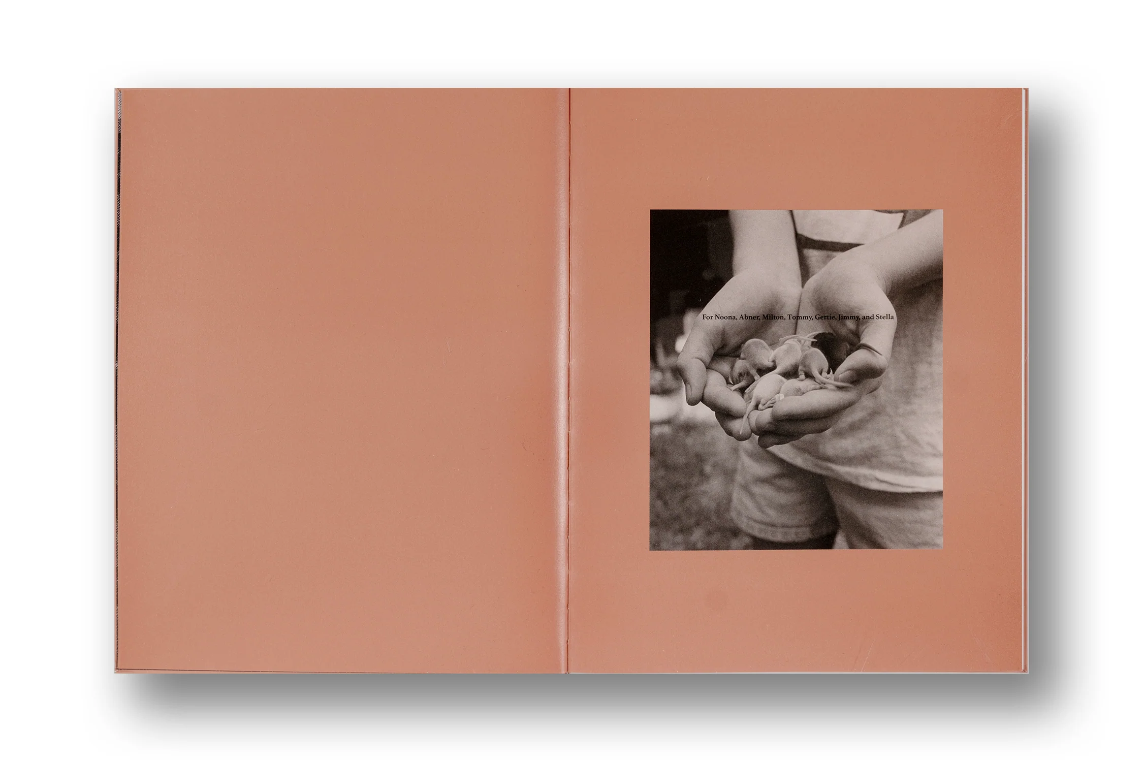 Peggy Nolan, Juggling is Easy (signed first ed.) - Image 28