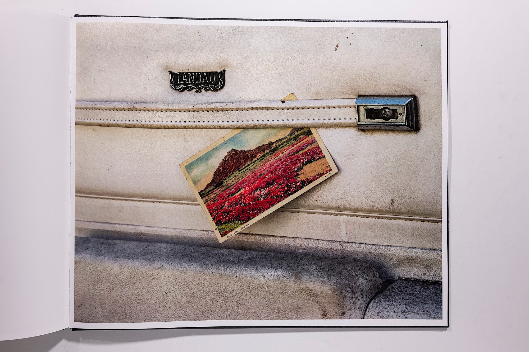 Phil Jung, Windscreen - Image 10