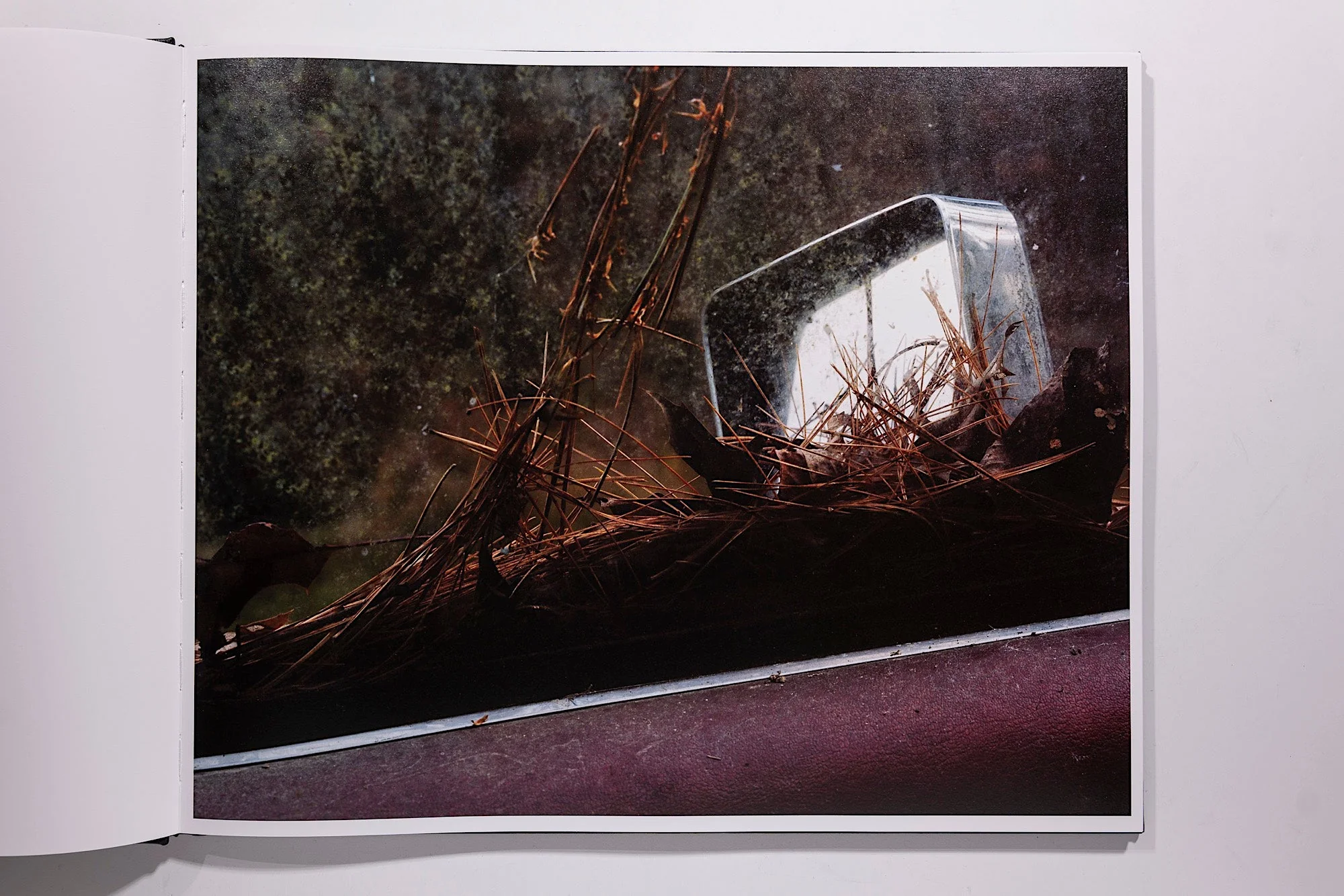 Phil Jung, Windscreen - Image 3