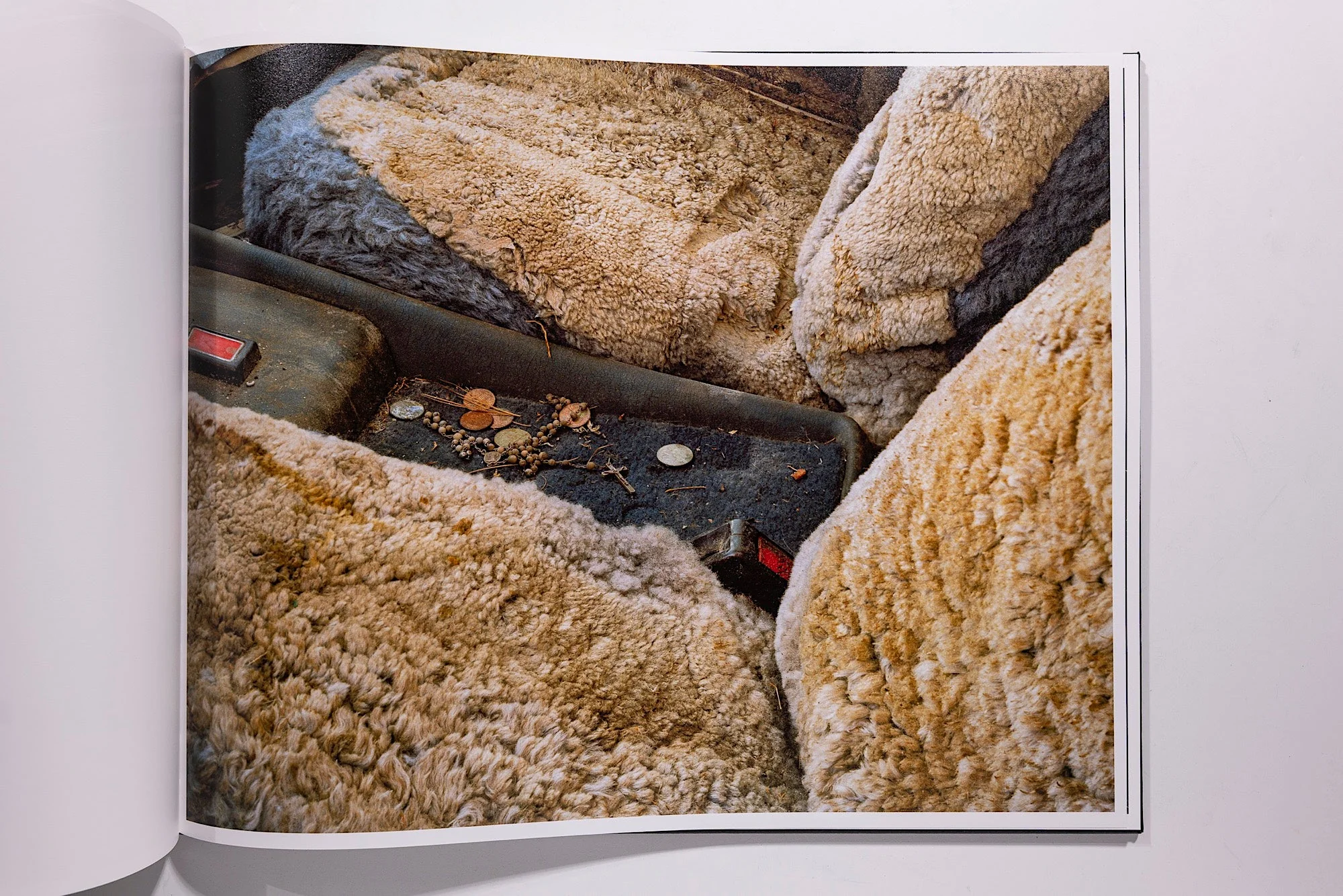 Phil Jung, Windscreen - Image 7