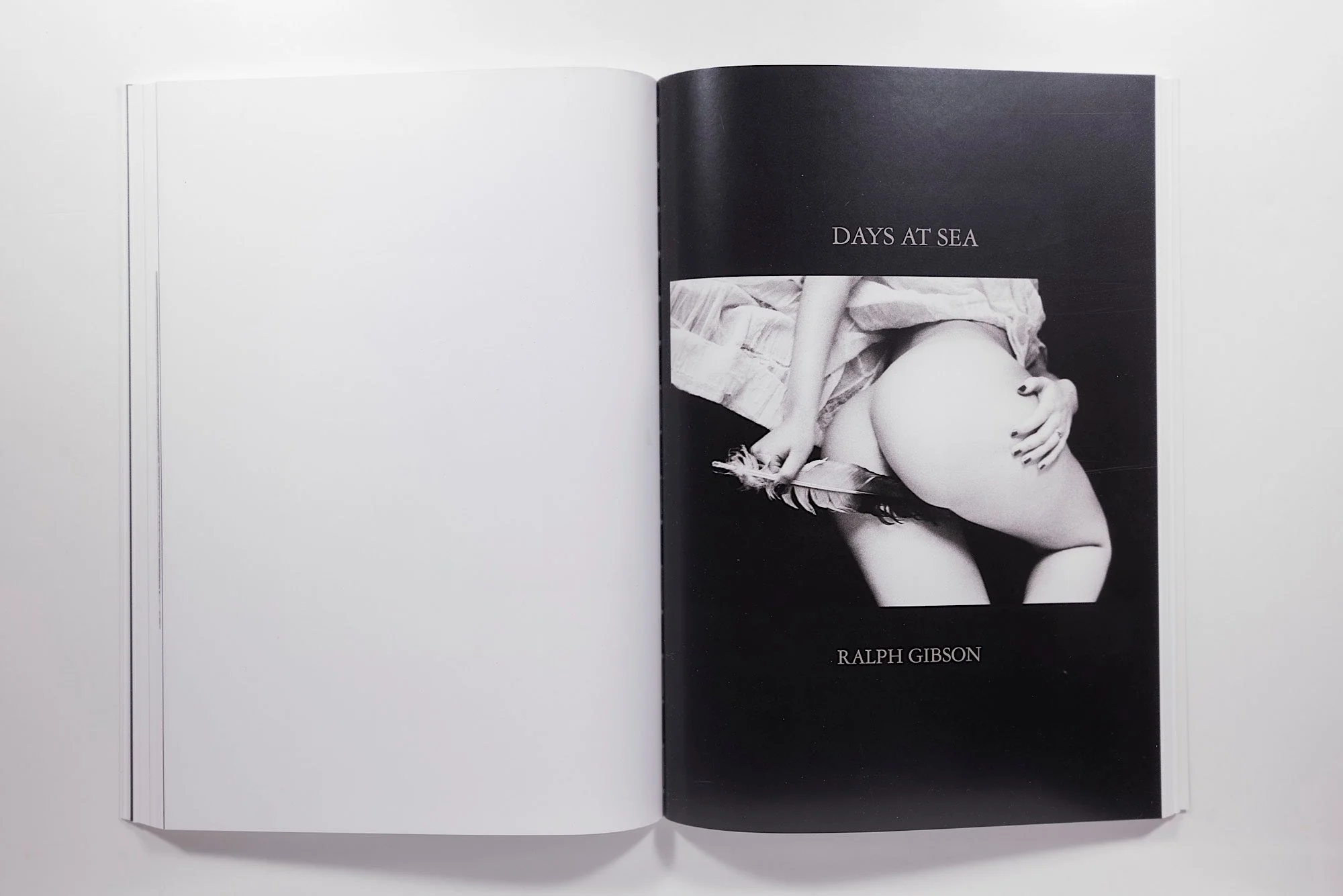 Ralph Gibson Black Trilogy - Image 12