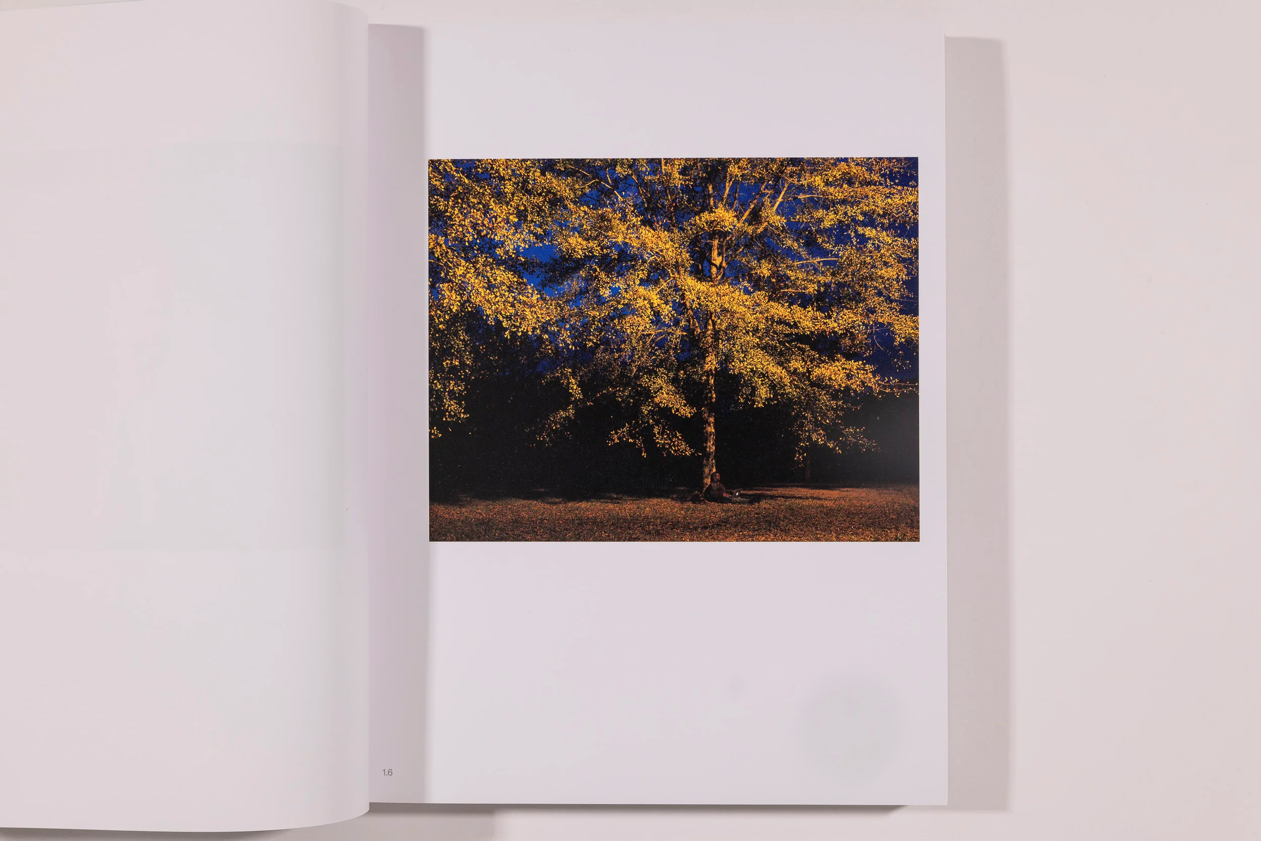 RaMell Ross, Spell, Time, Practice, American, Body - Image 7