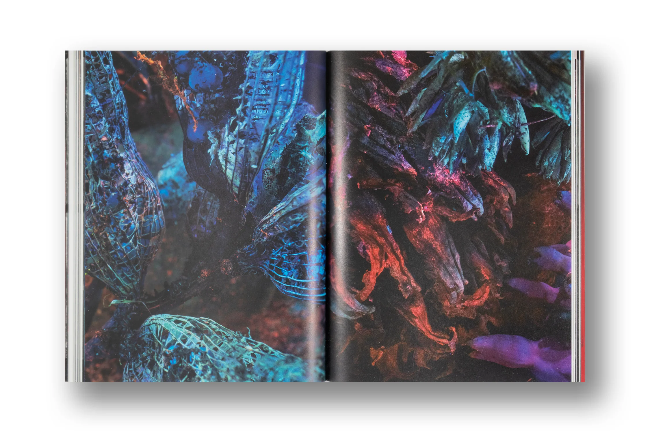 Richard Mosse, Broken Spectre - Image 10