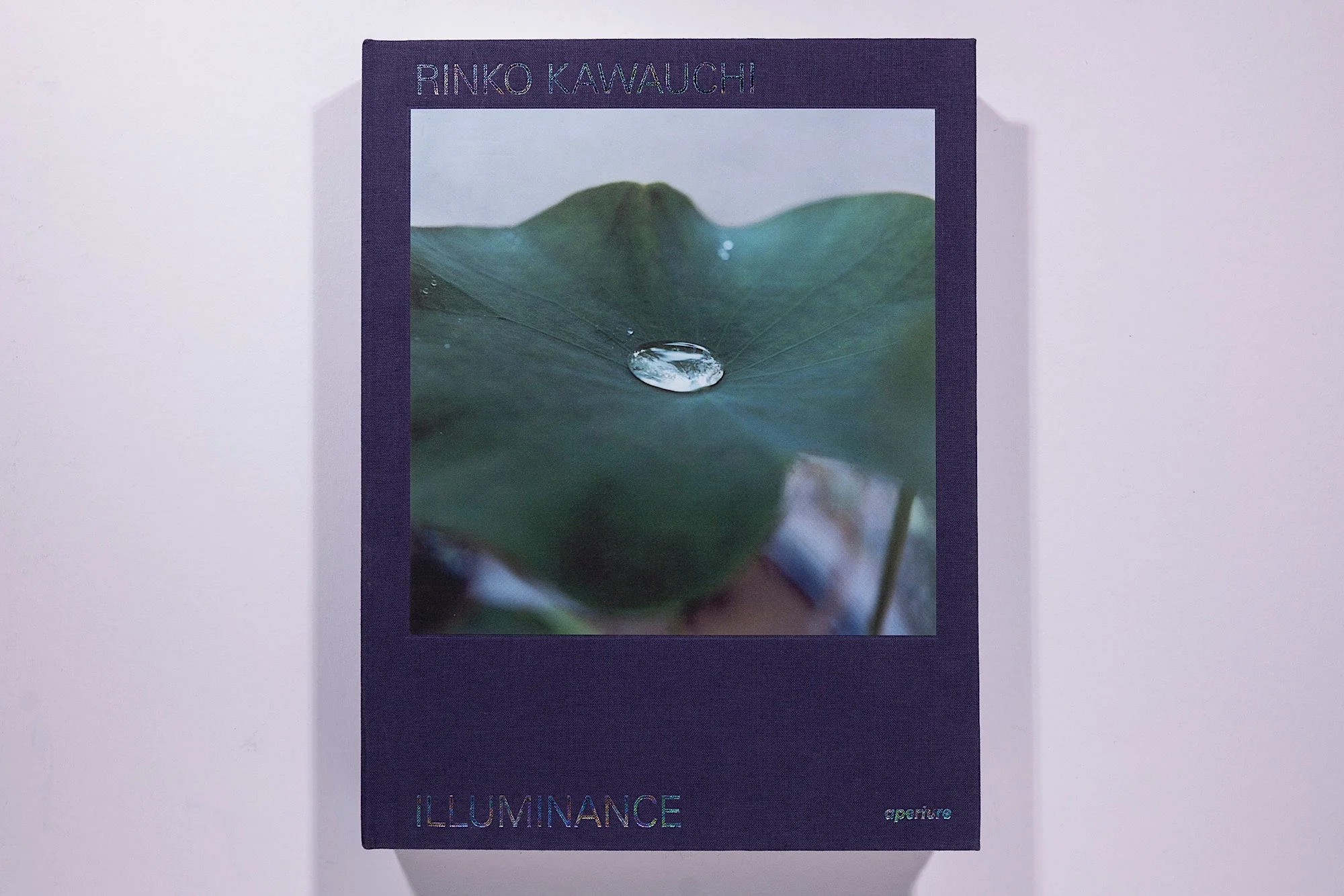 Rinko Kawauchi: Illuminance