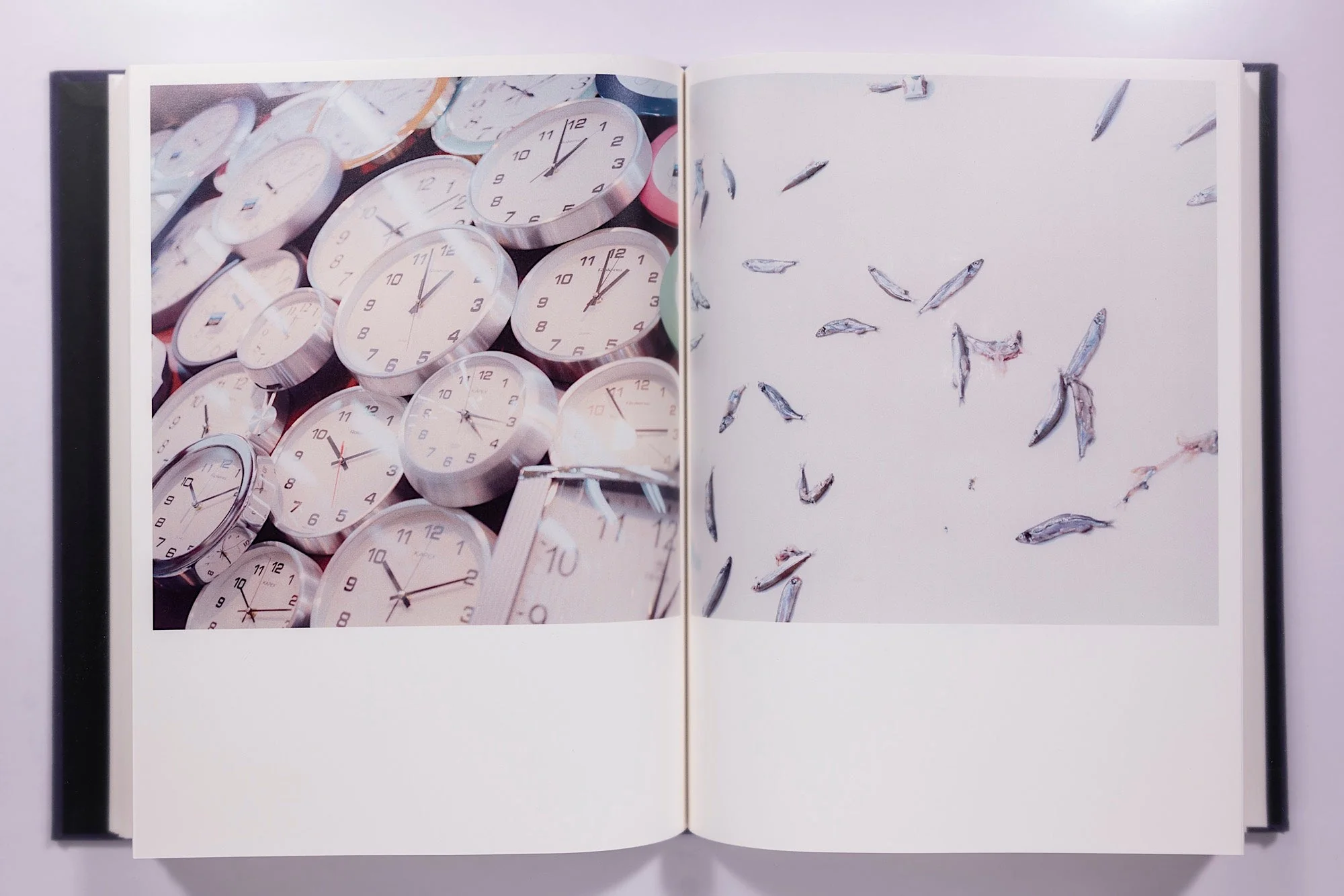 Rinko Kawauchi: Illuminance - Image 11