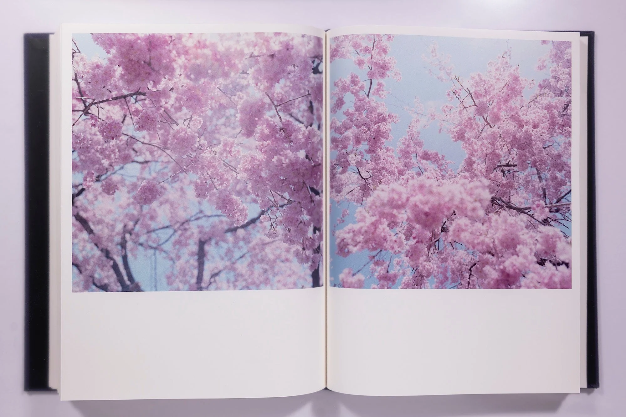 Rinko Kawauchi: Illuminance - Image 13