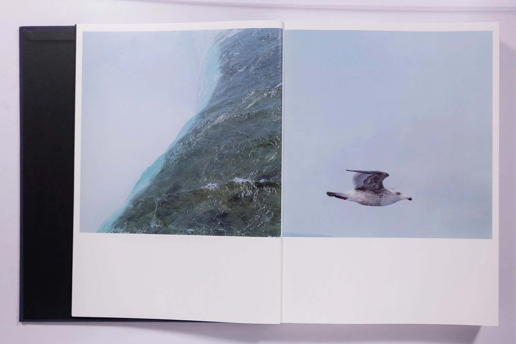 Rinko Kawauchi: Illuminance - Image 6
