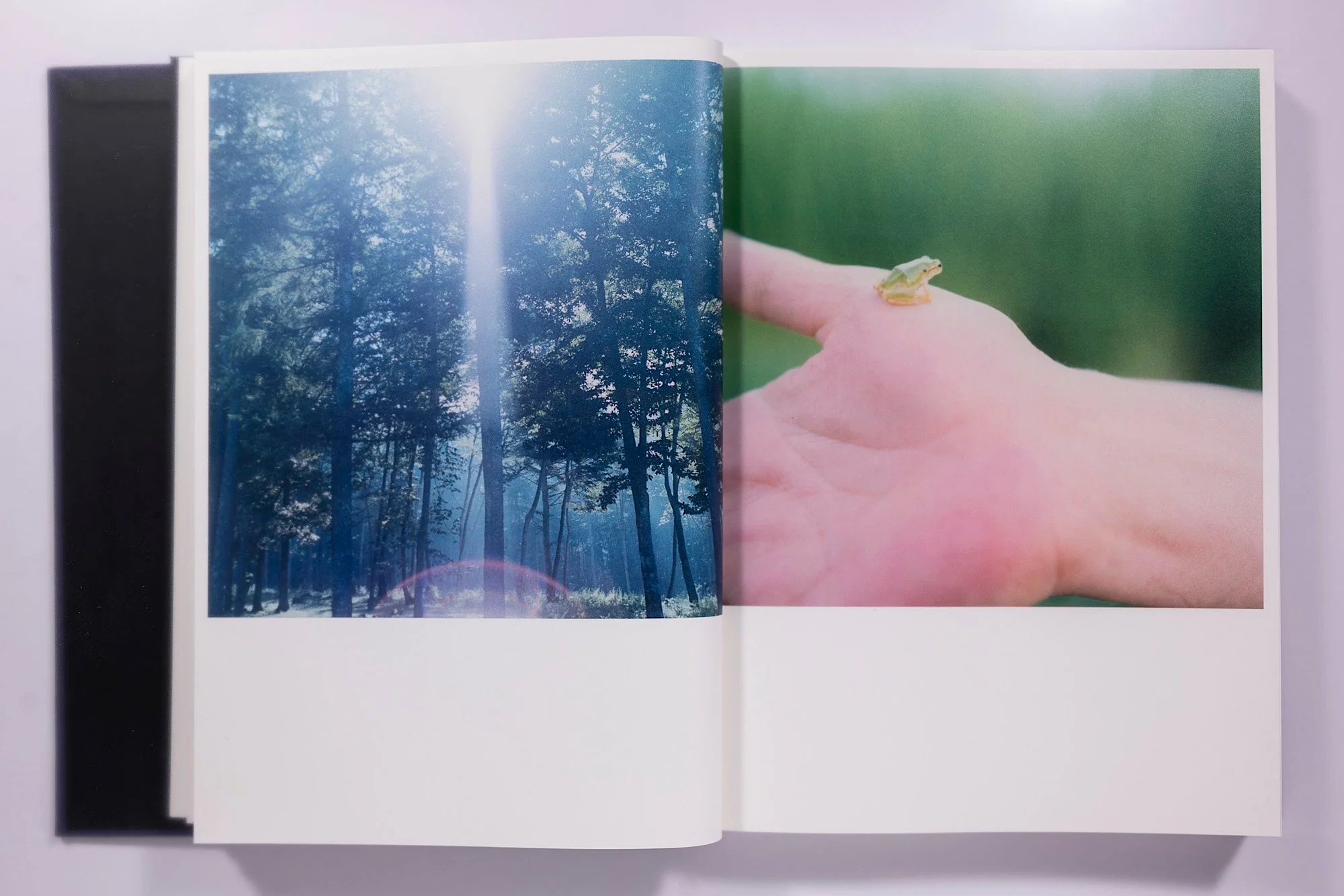 Rinko Kawauchi: Illuminance - Image 9