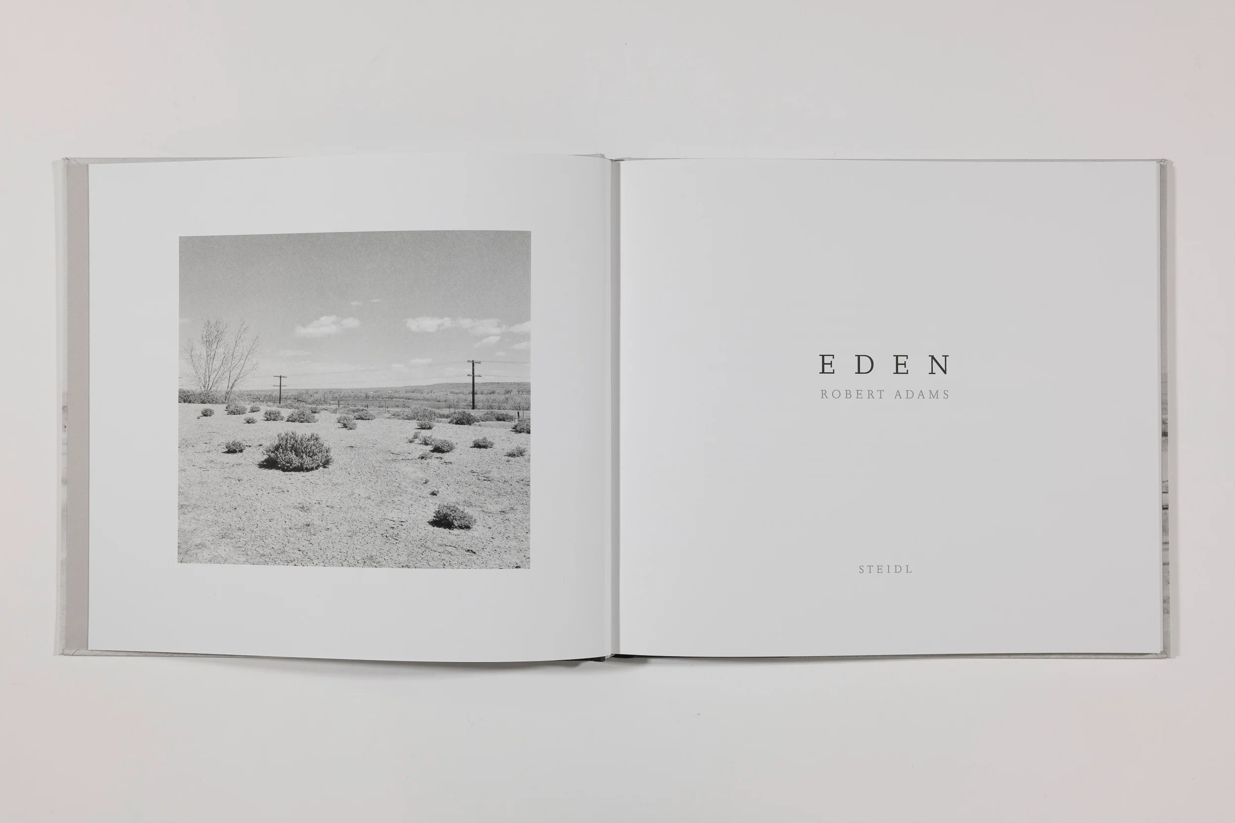 Robert Adams, Eden - Image 4