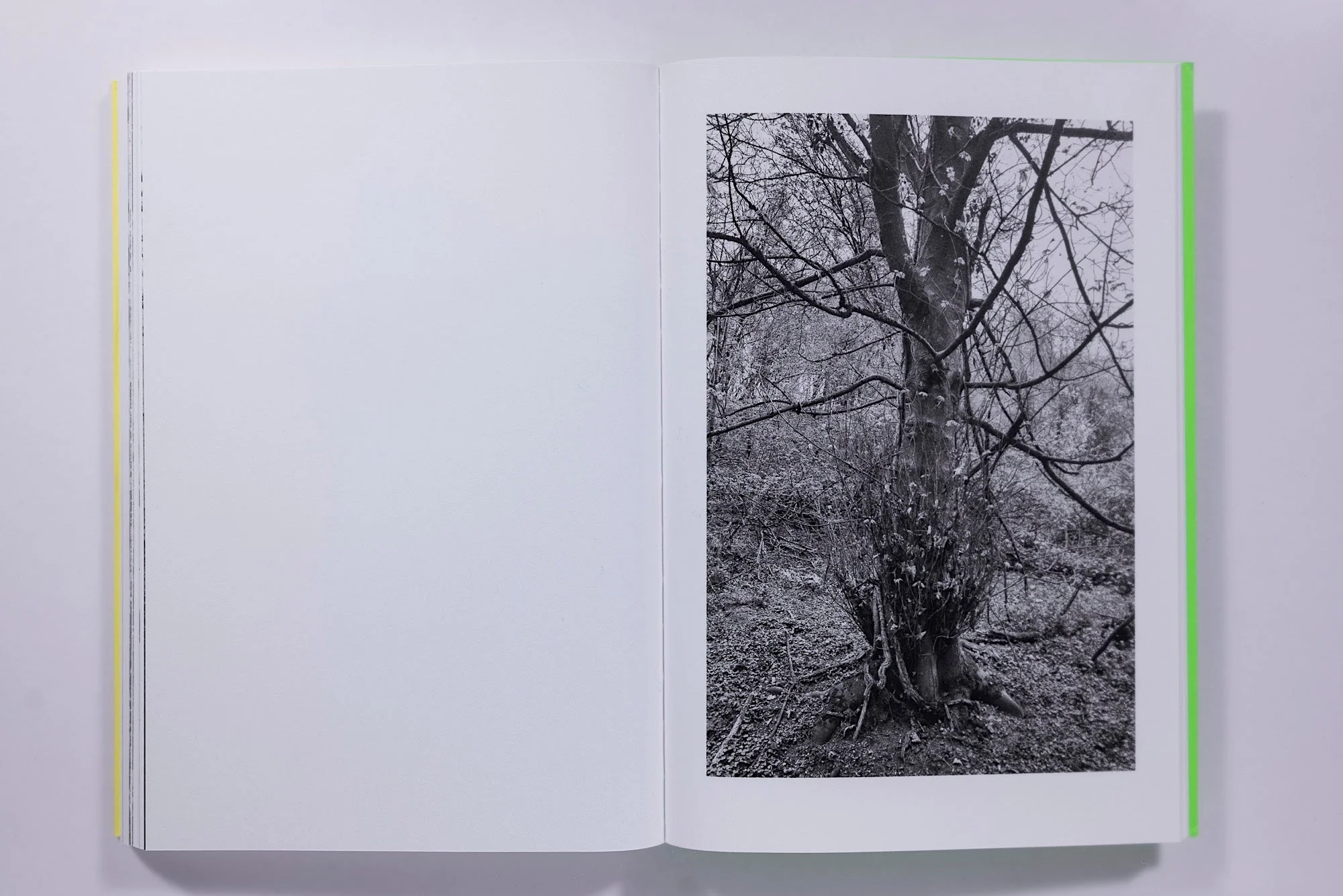 Sam Contis, Overpass - Image 11