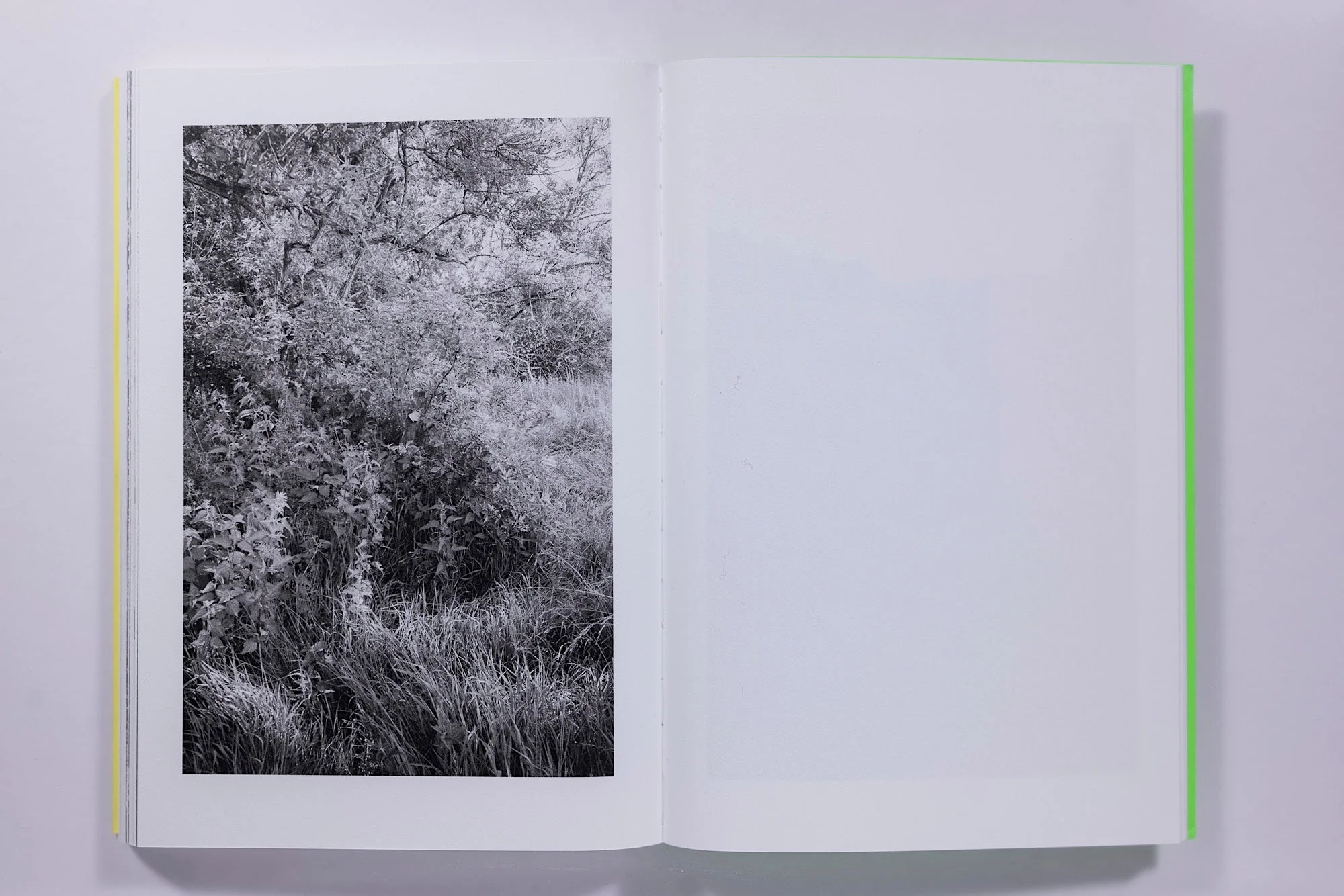 Sam Contis, Overpass - Image 12
