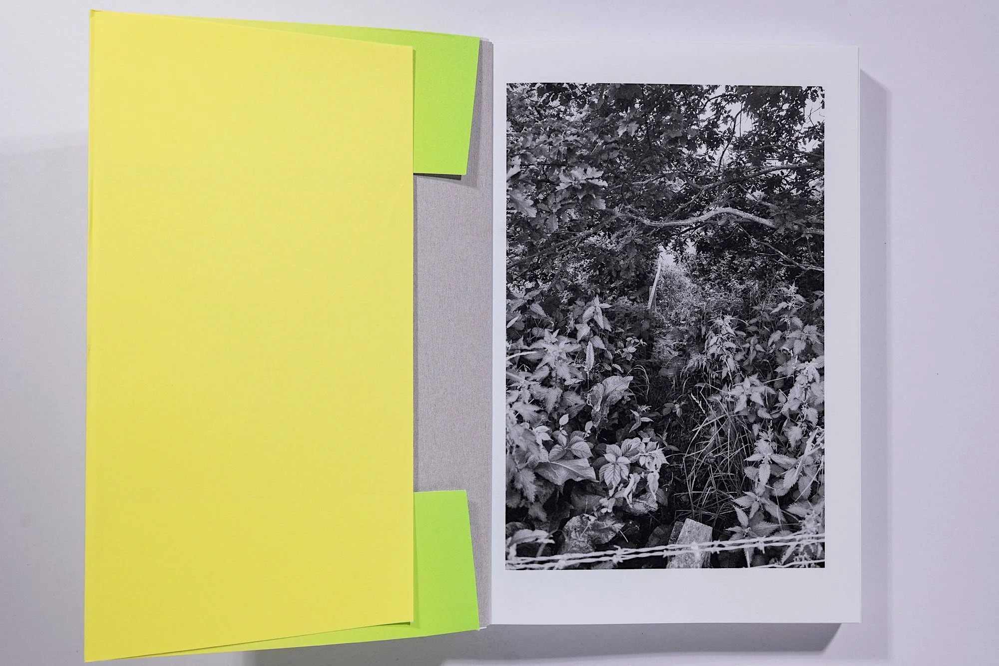 Sam Contis, Overpass - Image 3