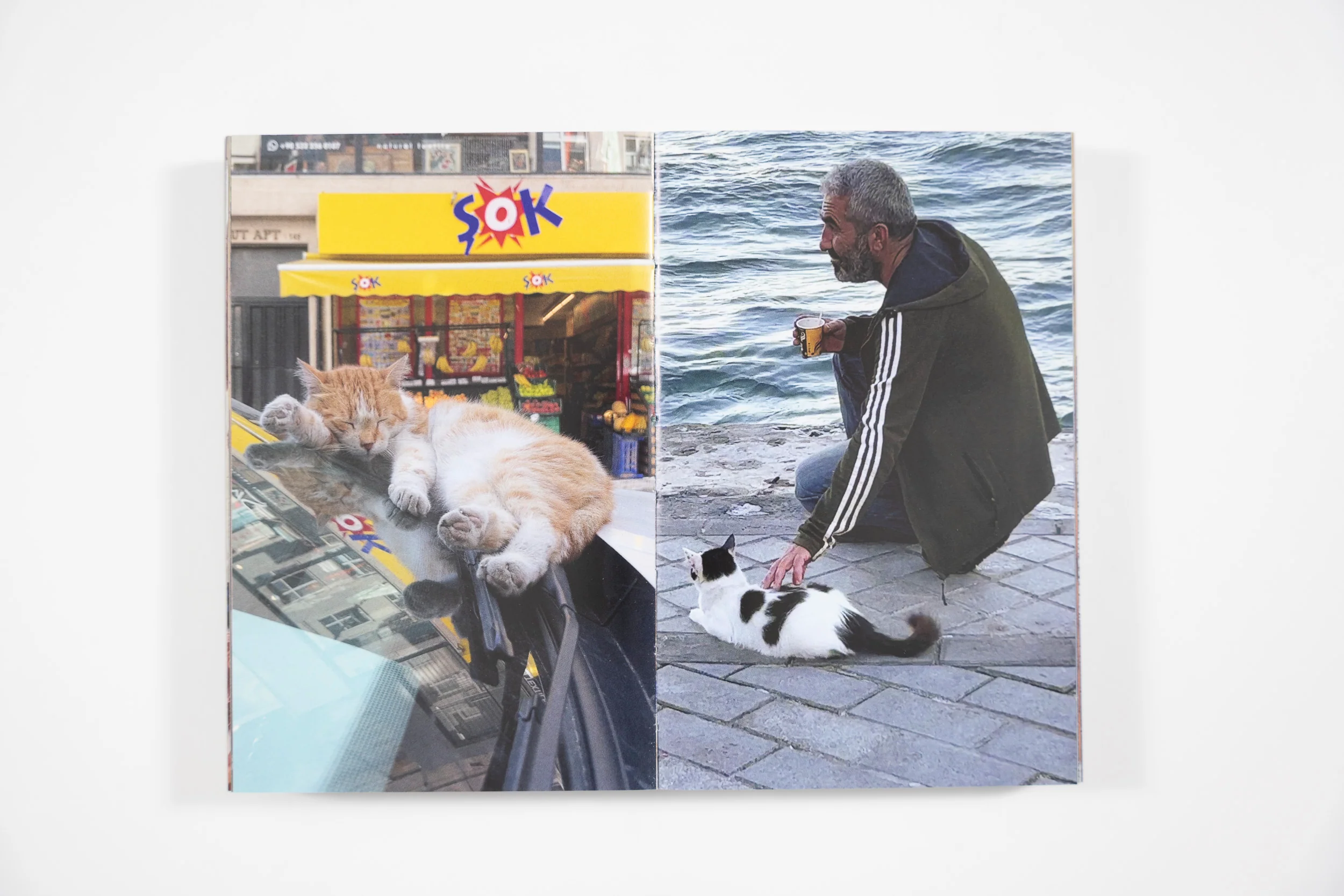 Sam Youkilis, Somewhere 2017 - 2023 - Image 12