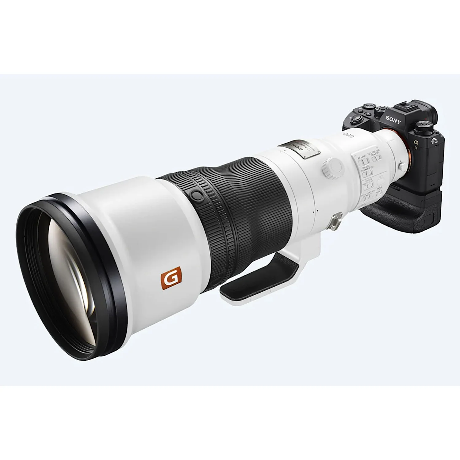 Sony FE 600mm f4 GM OSS - Image 5