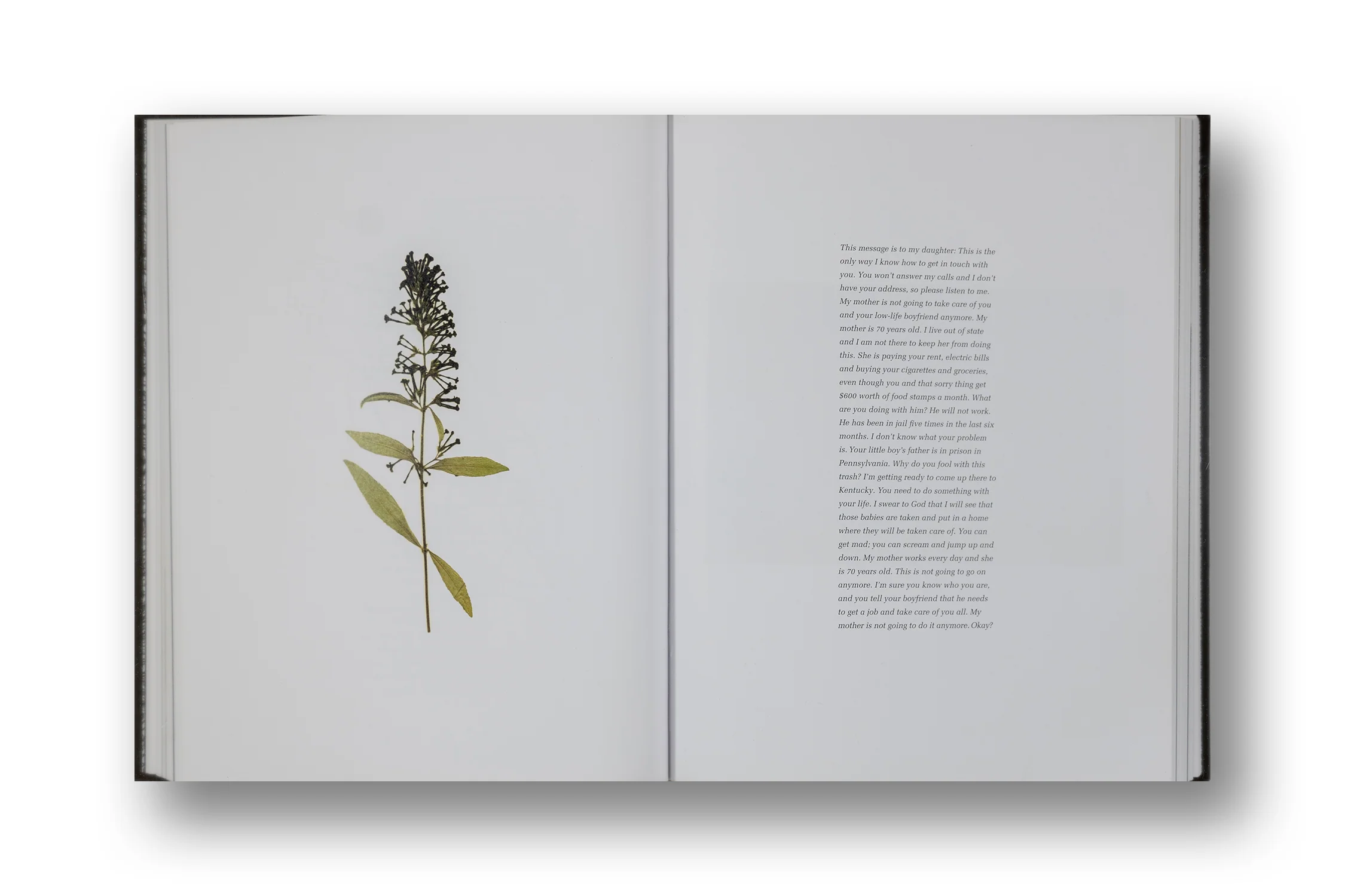 Stacy Kranitz, As It Was Give(n) To Me - Image 8