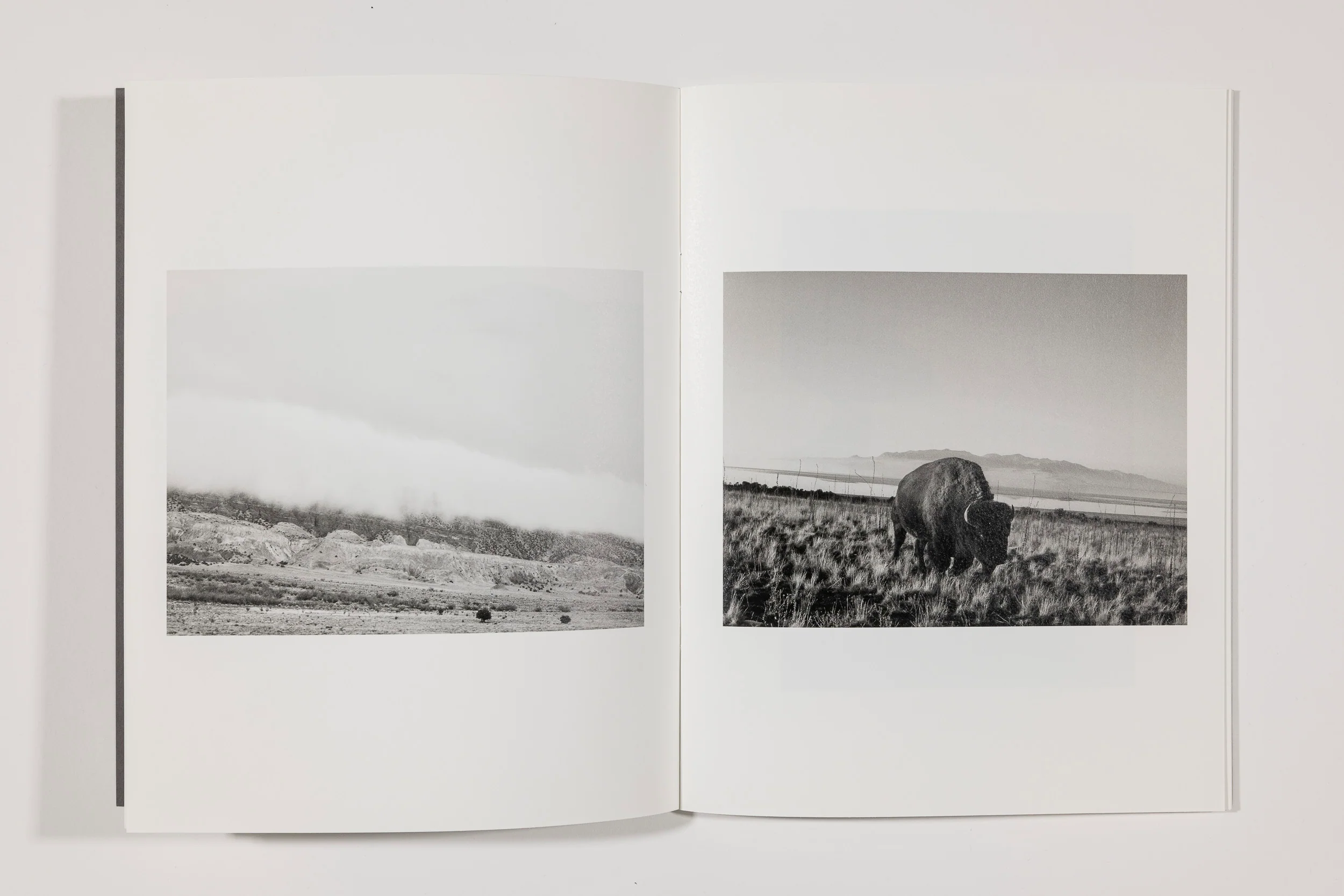 Taylor Galloway, I Can Feel You Dreaming - Image 4