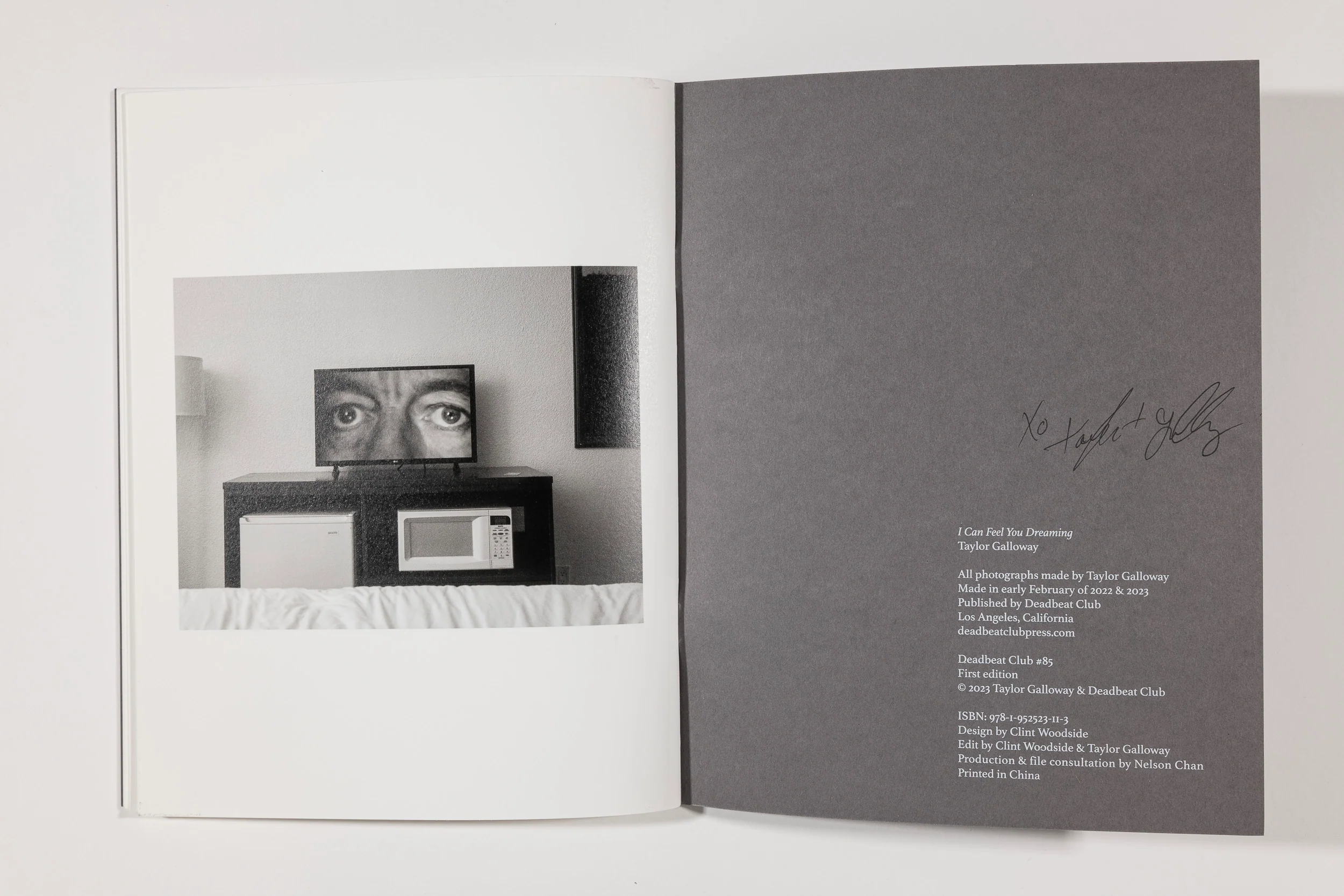 Taylor Galloway, I Can Feel You Dreaming - Image 7