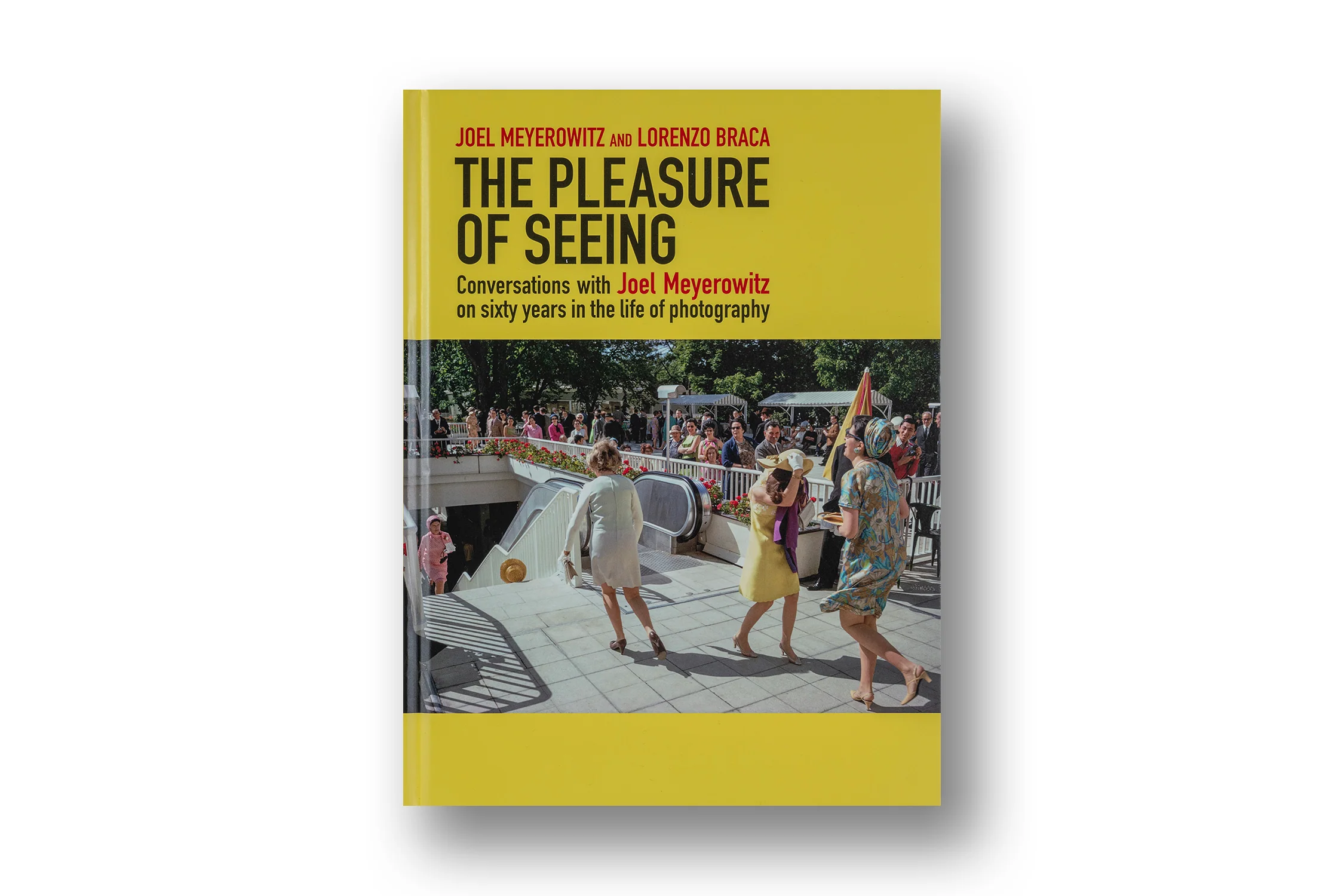 The Pleasure of Seeing