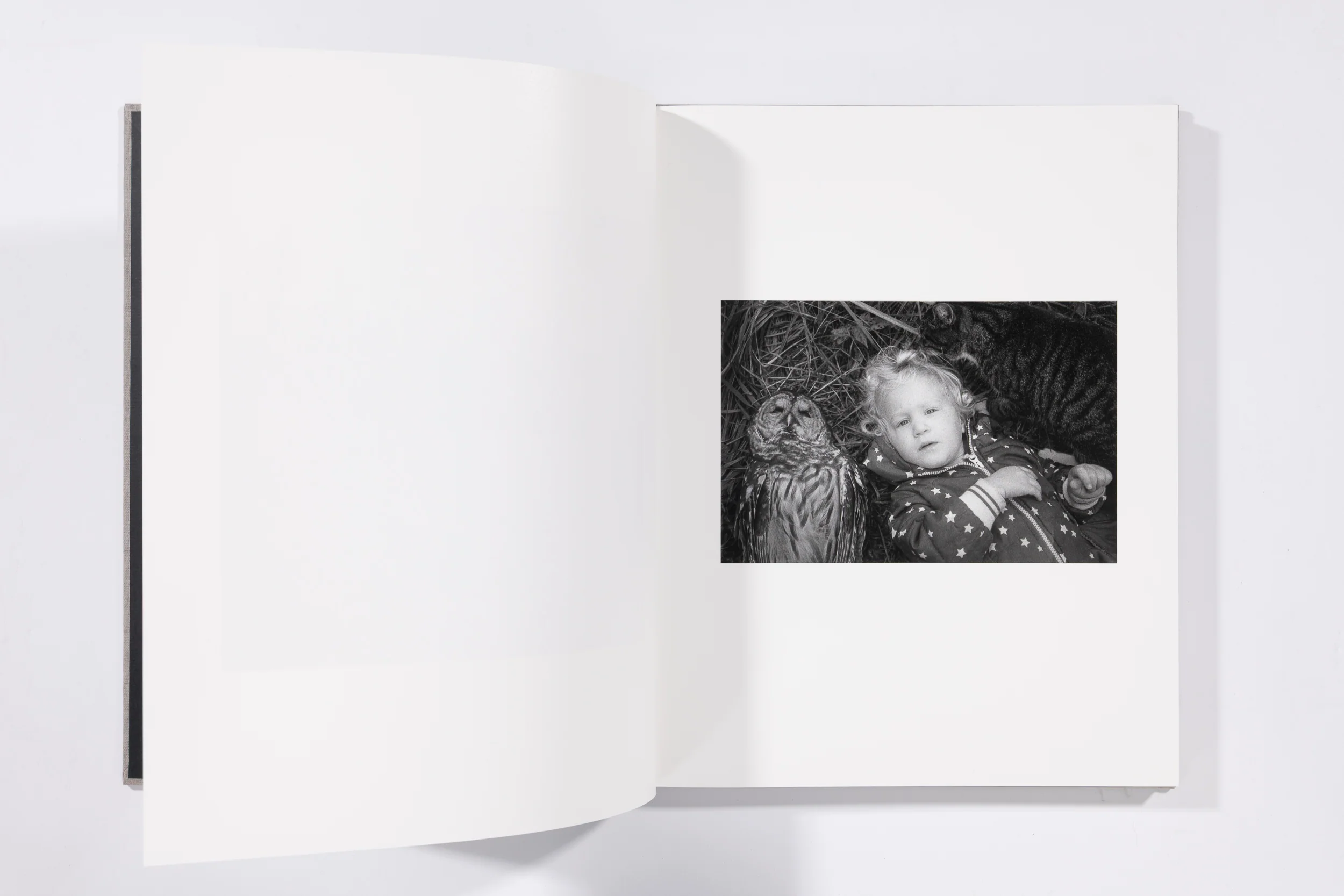 The Seraphim - Jesse Lenz - Image 4