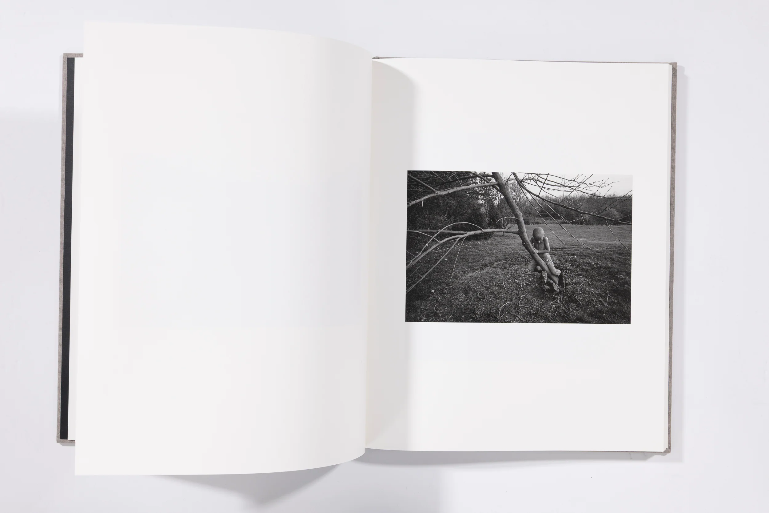The Seraphim - Jesse Lenz - Image 7