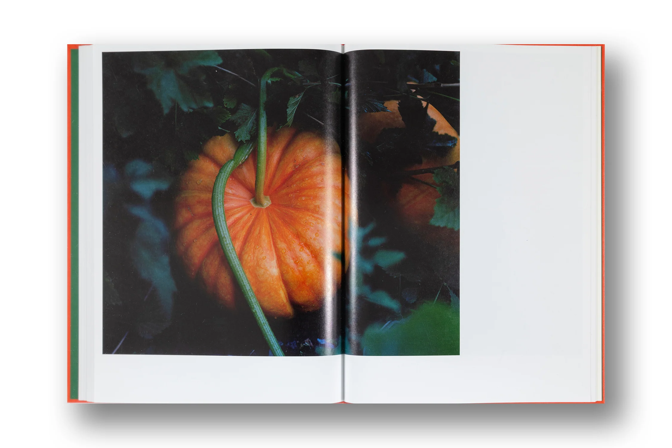 Thomas Rousset, Prabe_rians - Image 12