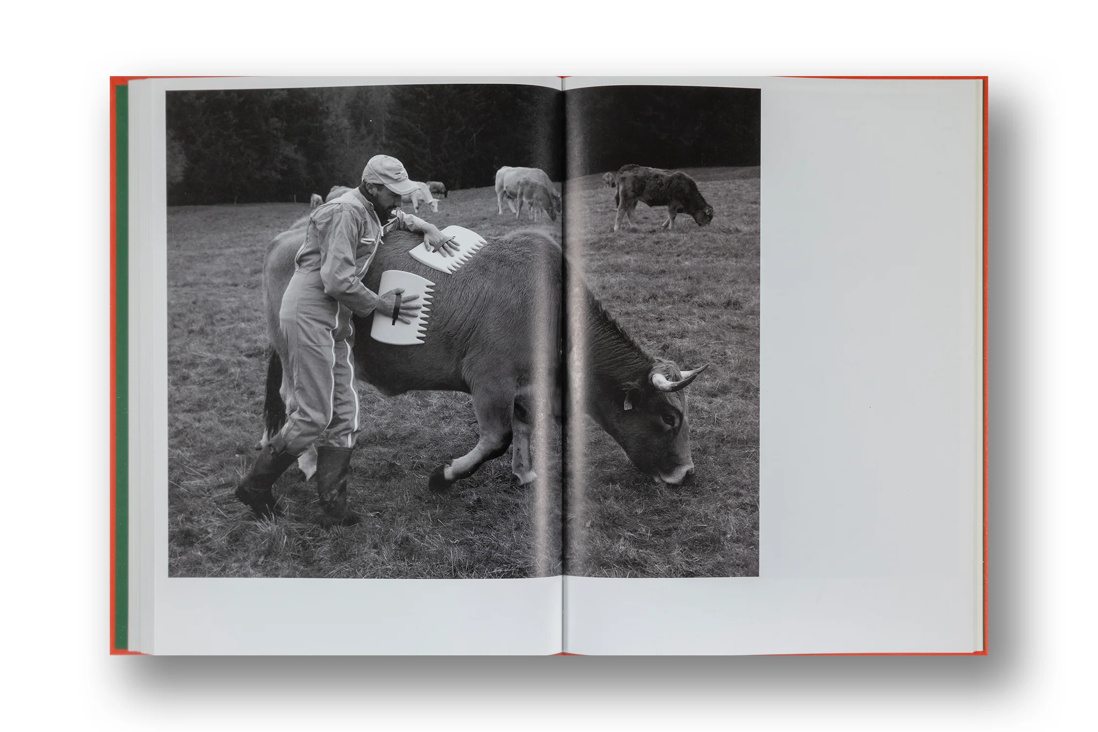 Thomas Rousset, Prabe_rians - Image 13