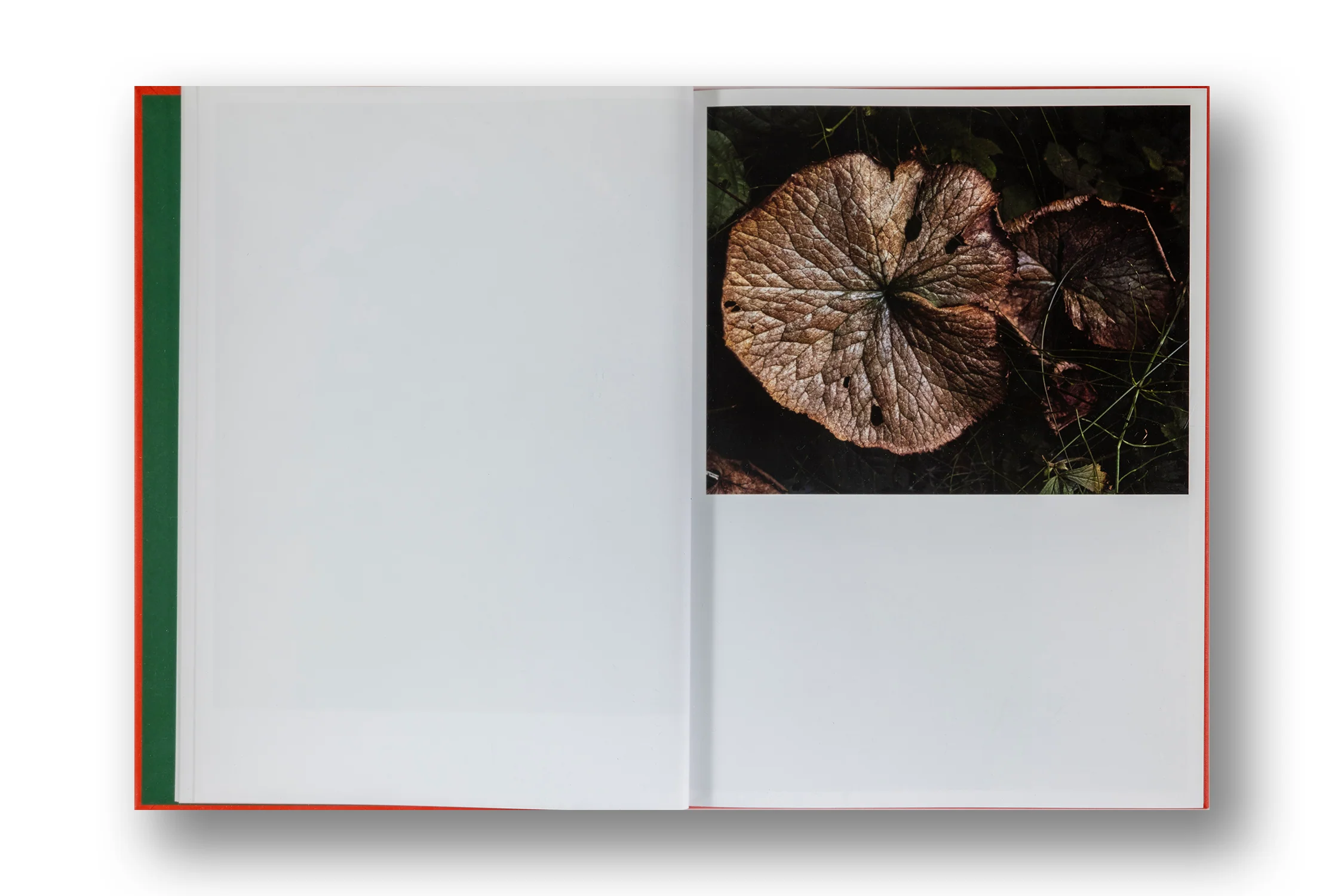 Thomas Rousset, Prabe_rians - Image 5
