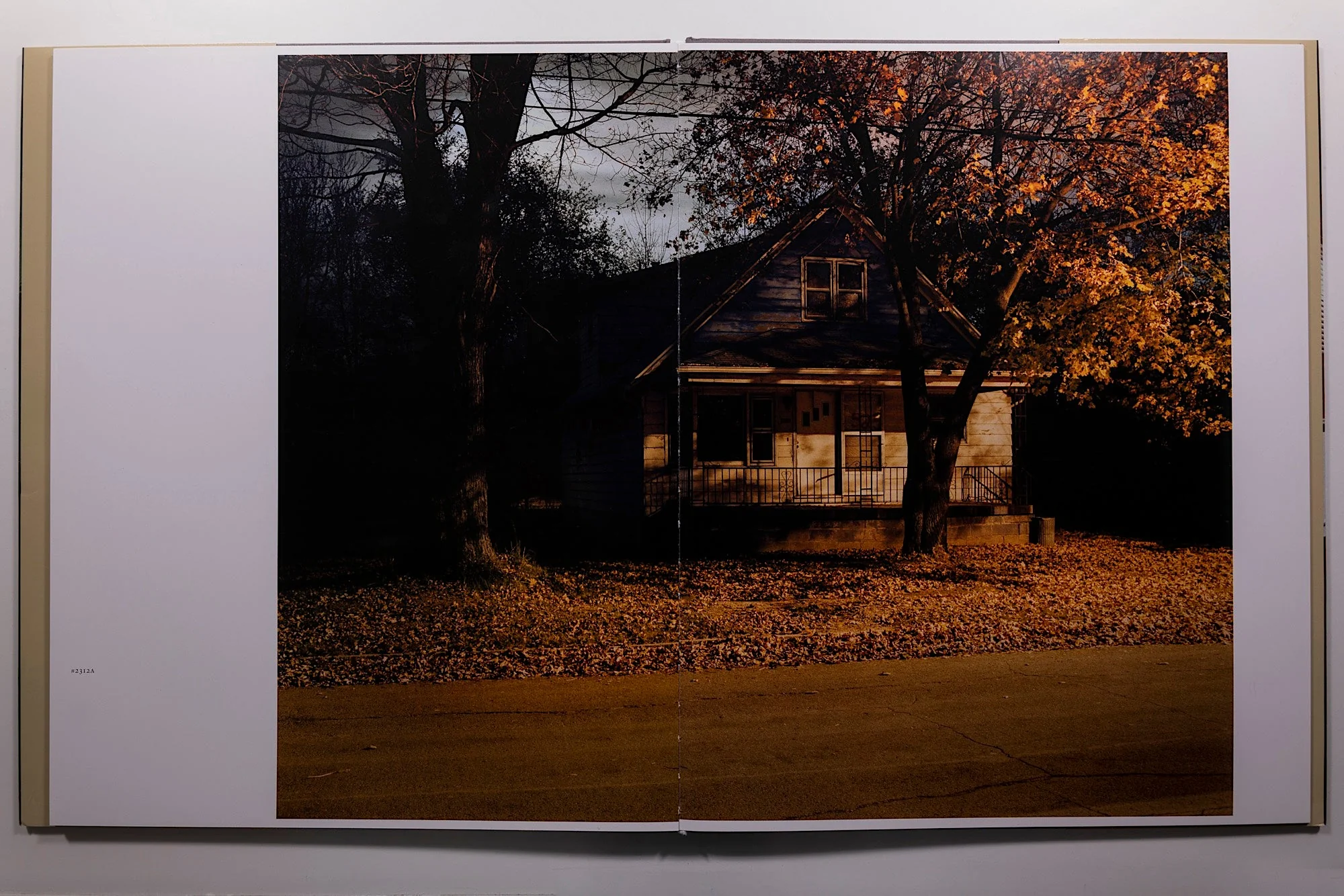 Todd Hido House Hunting - Image 6