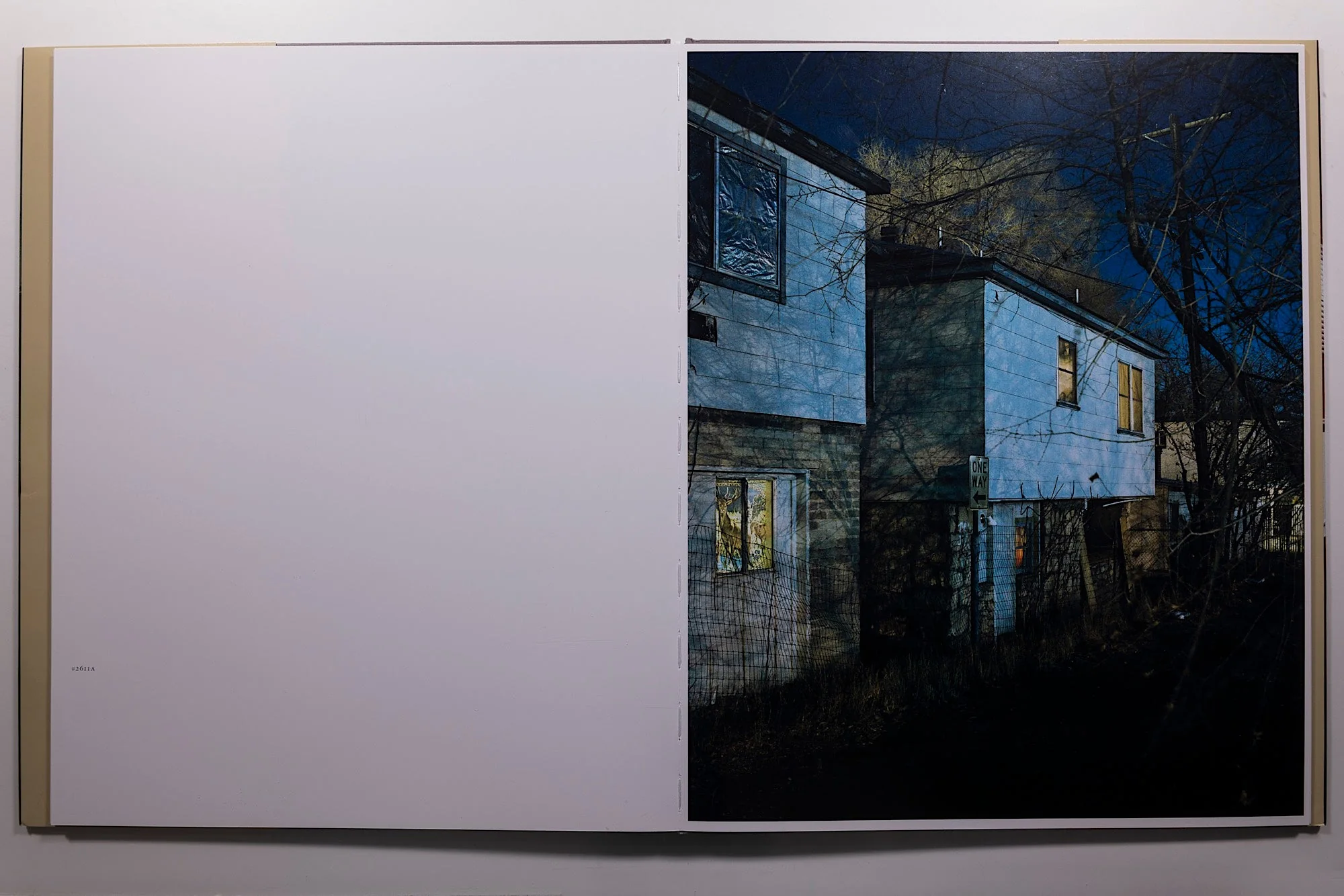 Todd Hido House Hunting - Image 7