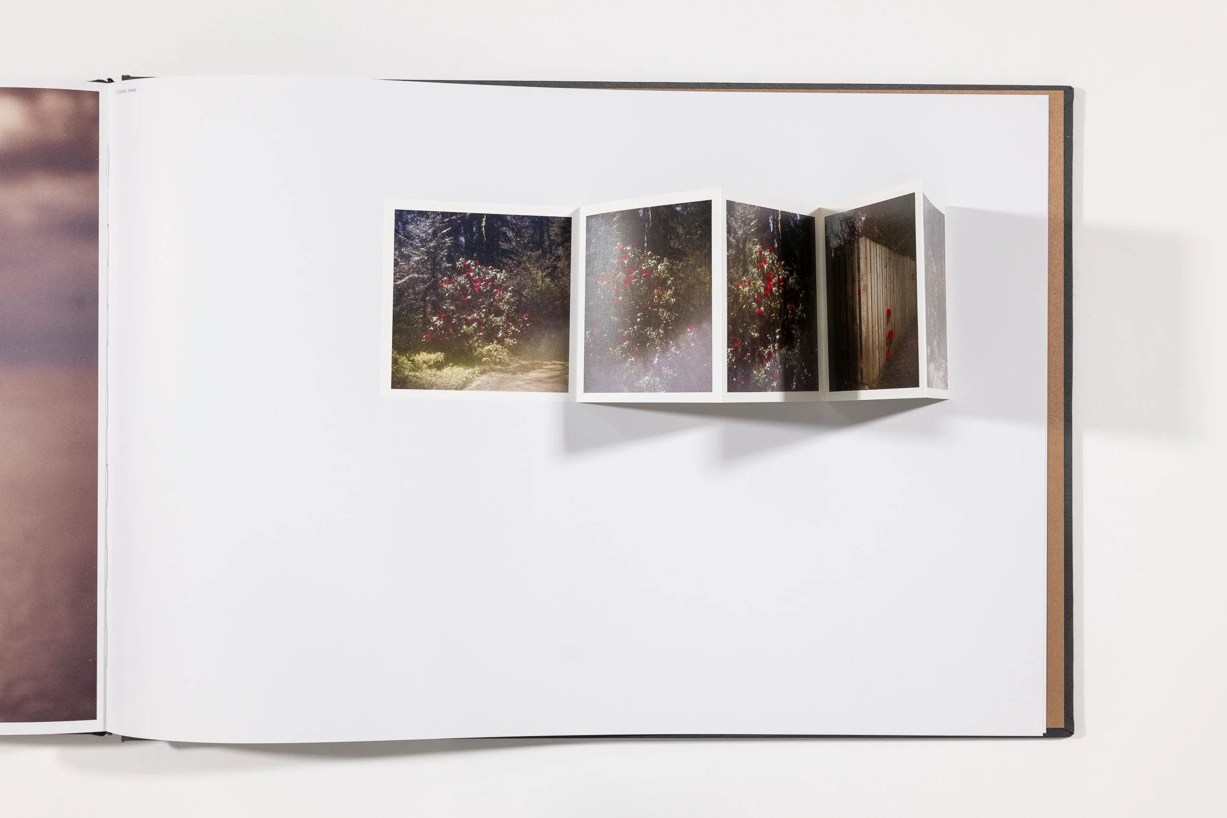 Todd Hido: The End Sends Advance Warning - Image 10
