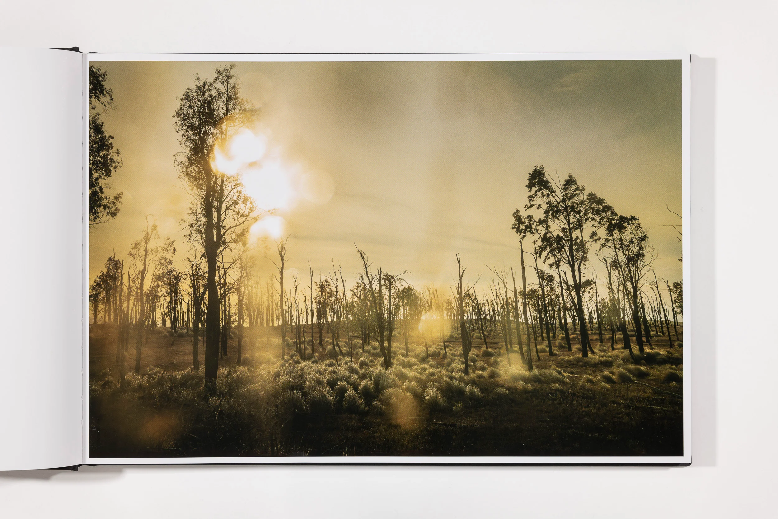 Todd Hido: The End Sends Advance Warning - Image 4