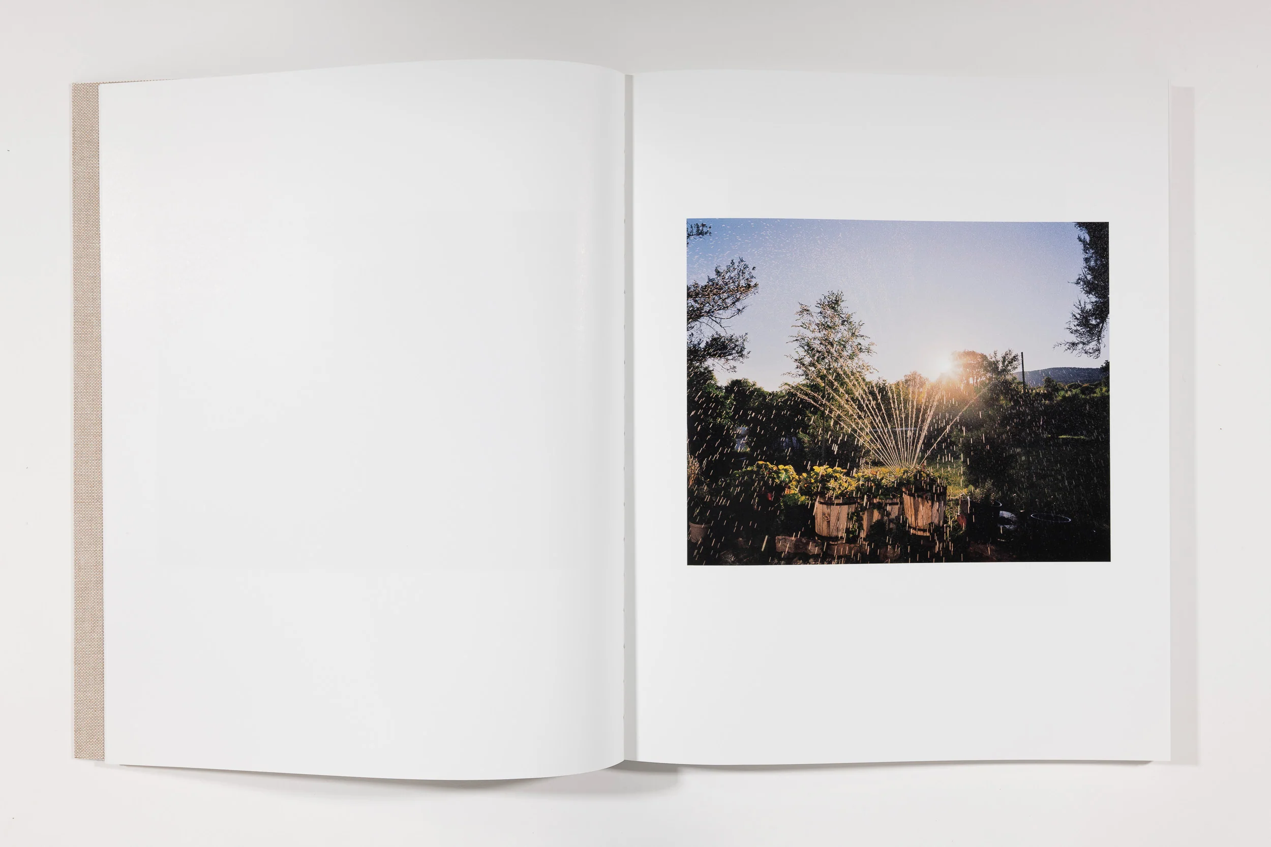 Trent Davis Bailey, The North Fork - Image 7