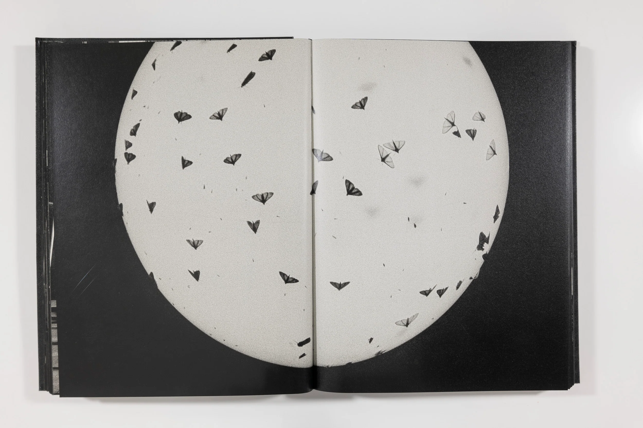 Trent Parke, Monument - Image 8