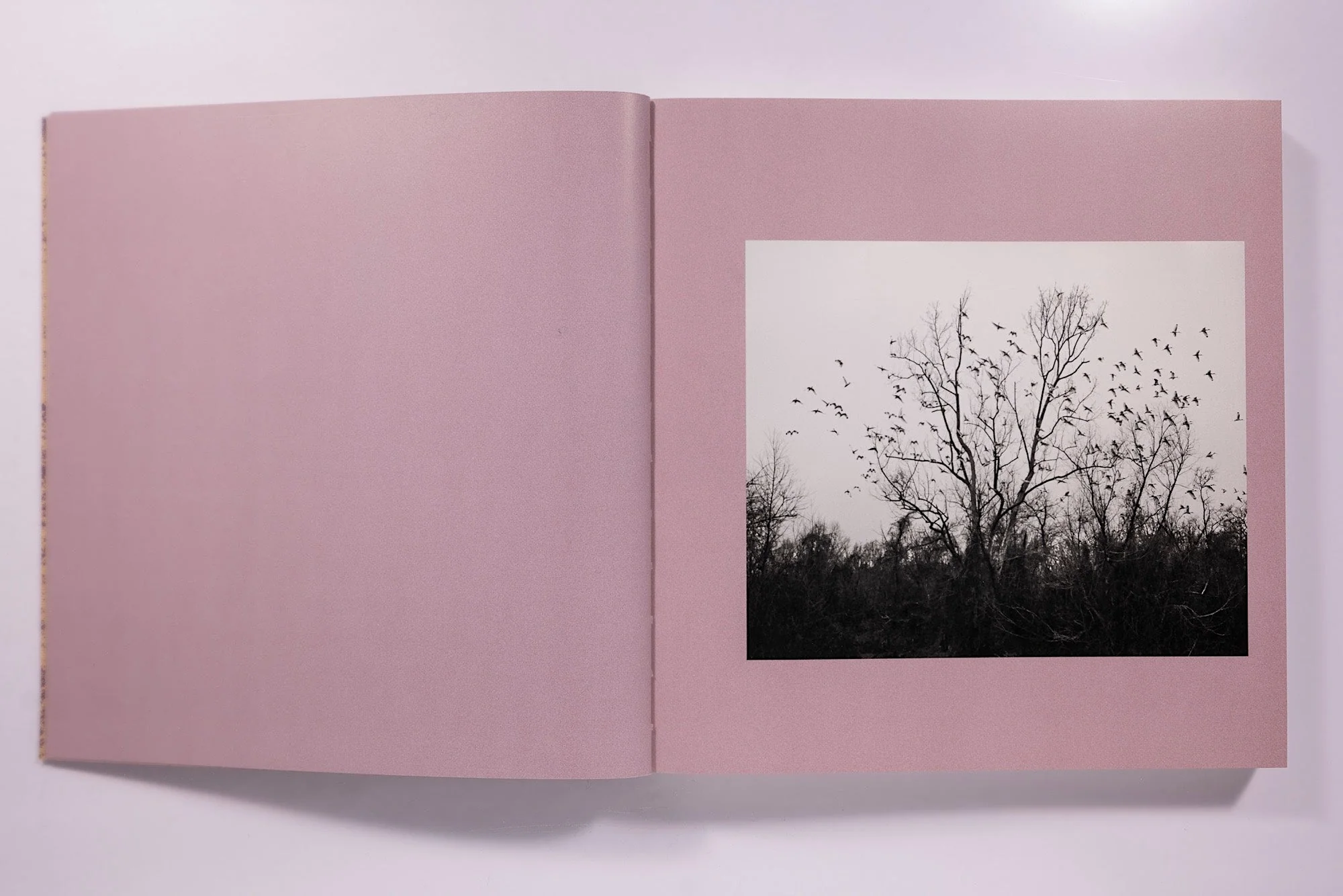 And Time Folds Vanessa Winship - Image 4