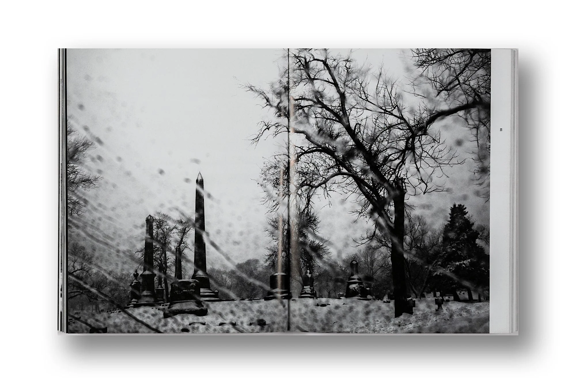 We All We Got - Carlos javier Ortiz - Image 7
