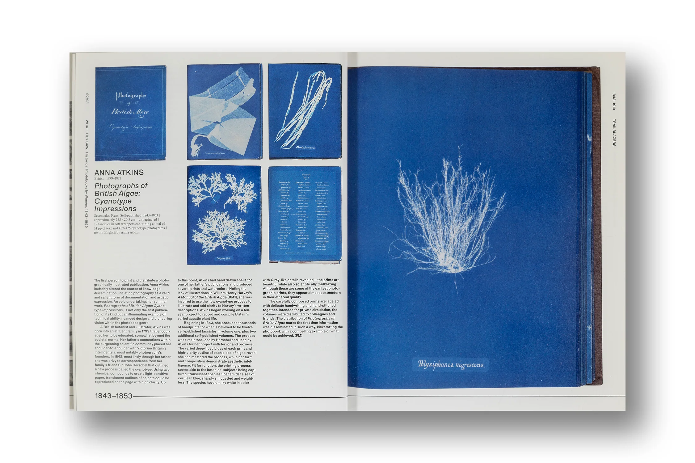 What They Saw: Historical Photobooks by Women, 1843-1999 - Image 4